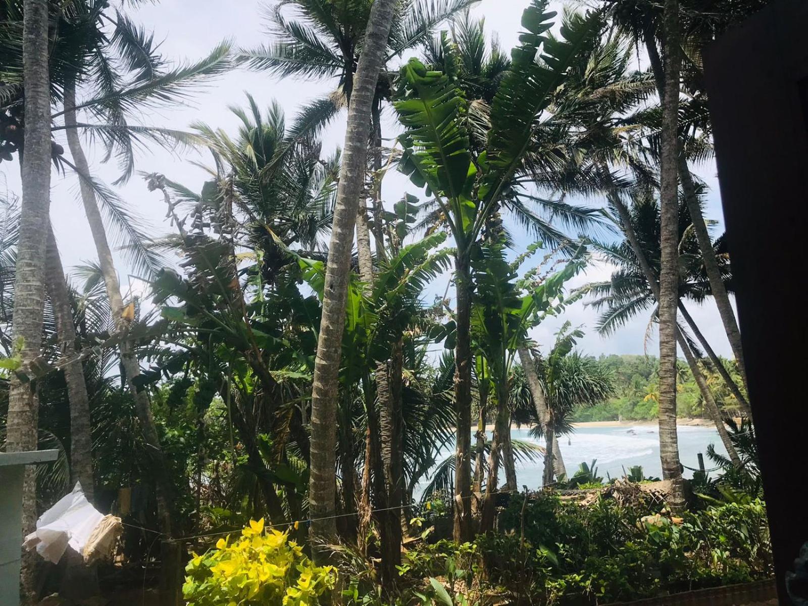 Surf Home Stay Hiriketiya
