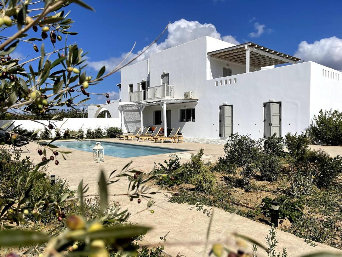 Hotel White Pearl Villa Naxos with Private Swimming Pool - Image 1