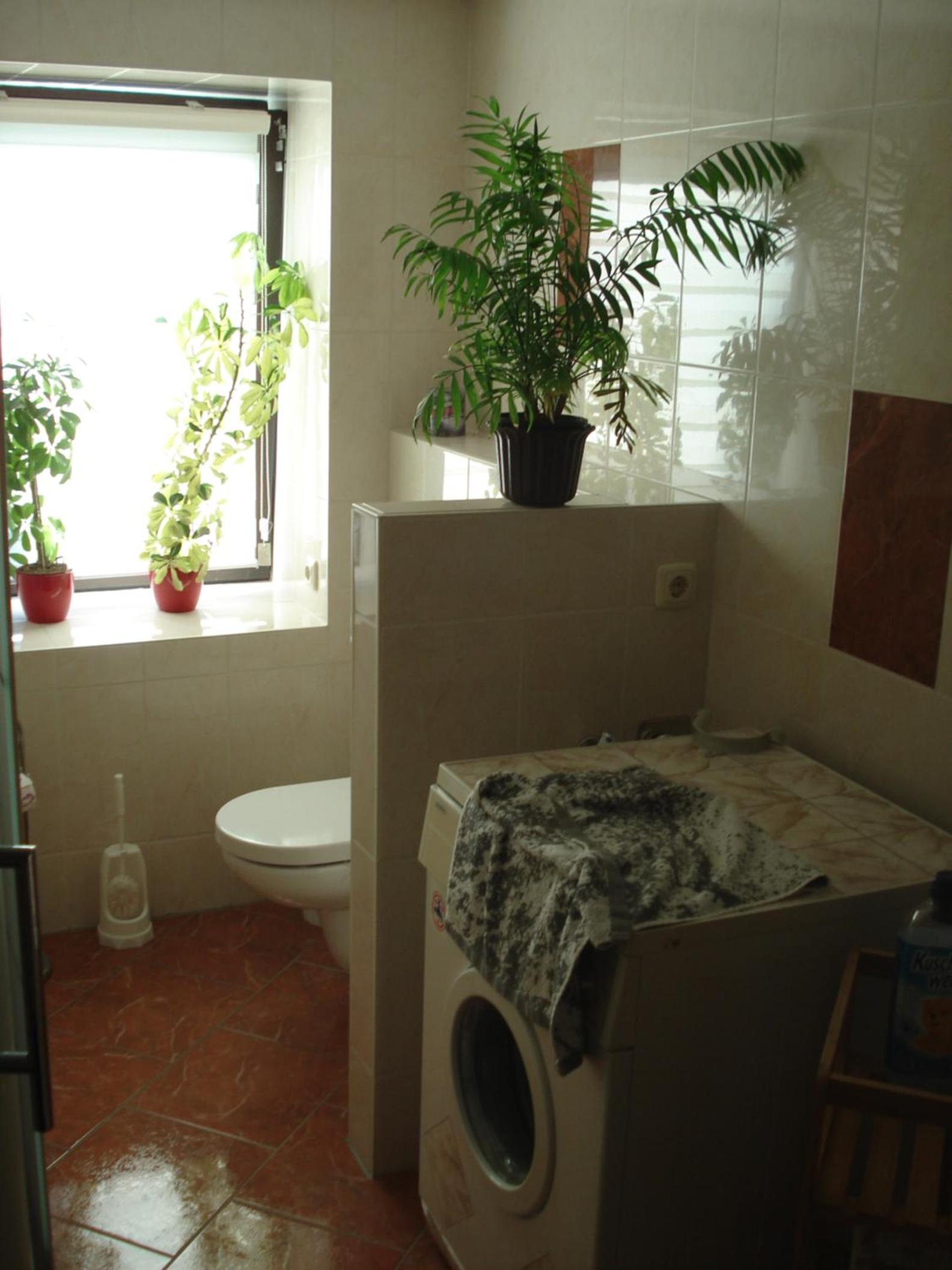 Ferienwohnung Auris
