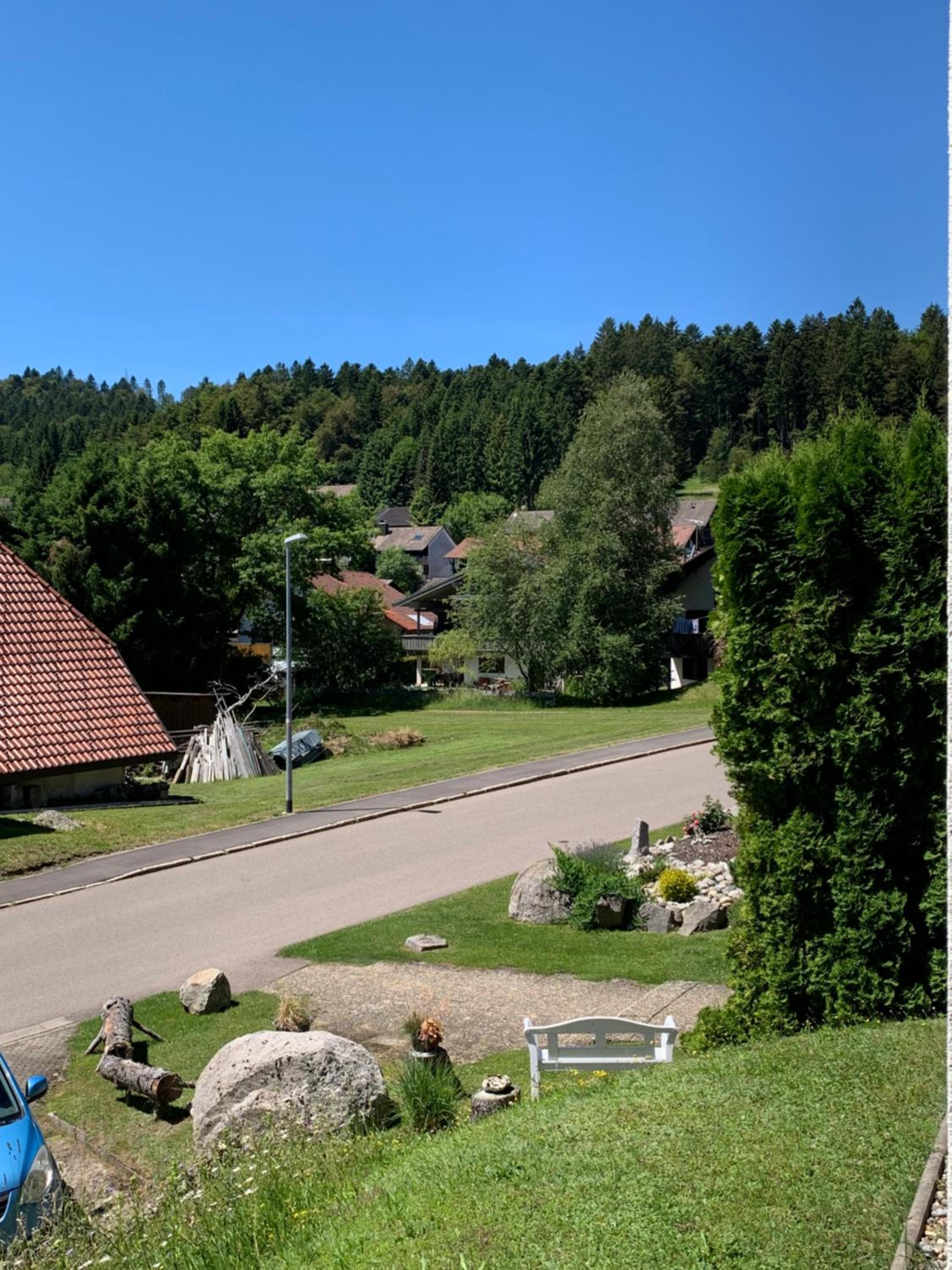 Black Forest