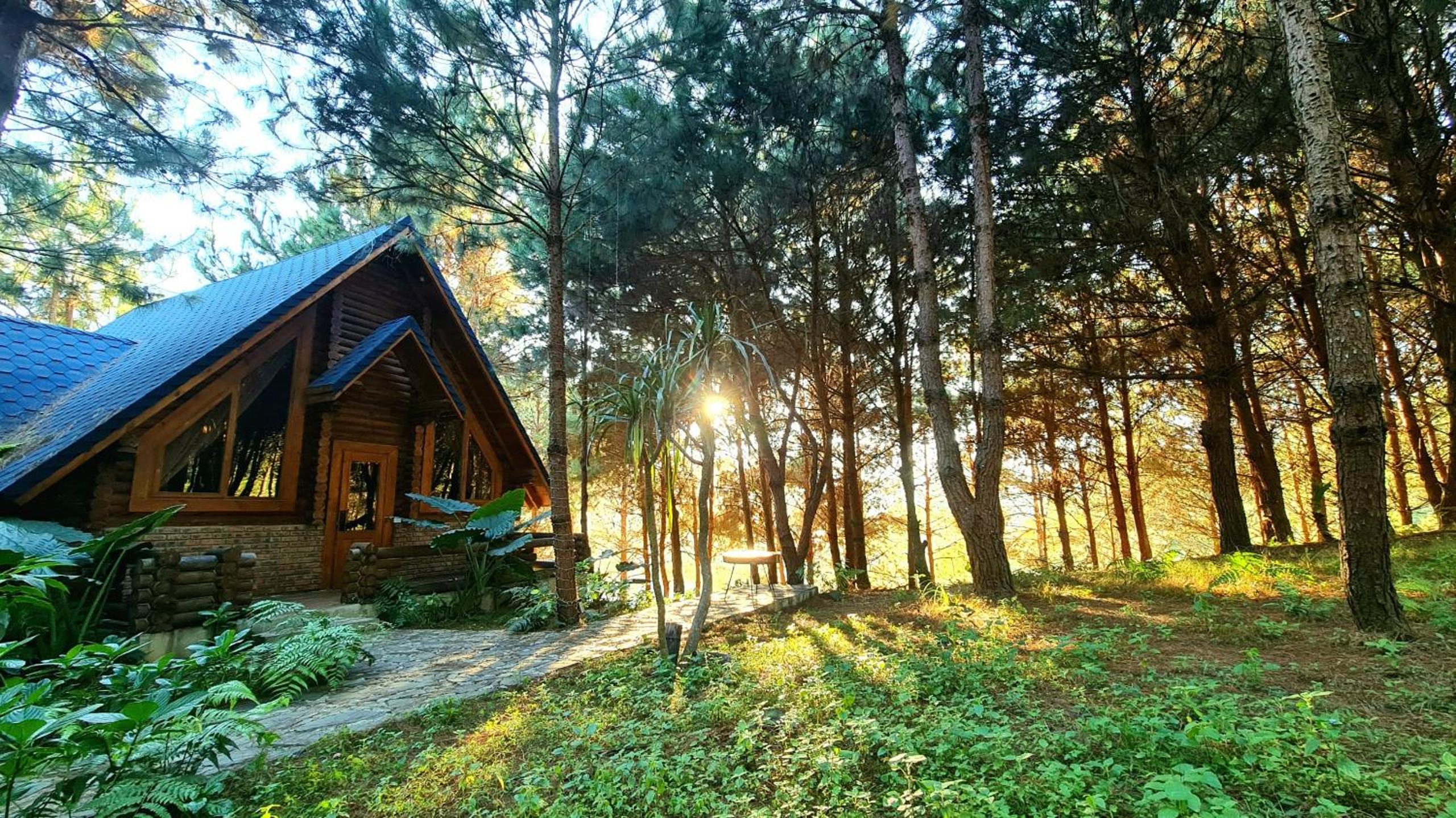 The Nordic Village - Evergreen Retreat