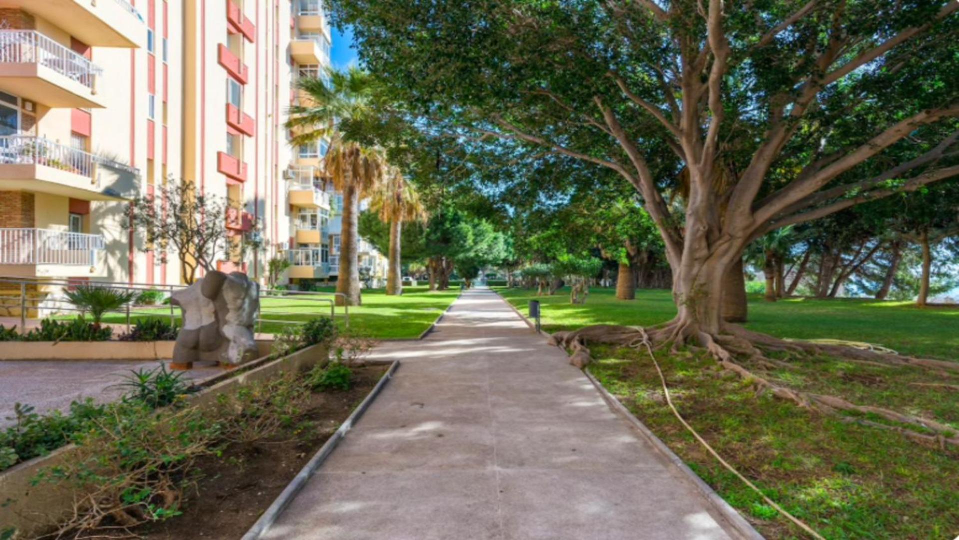 797 Holiday Rentals- Luminoso estudio en Arroyo de la Miel view 5