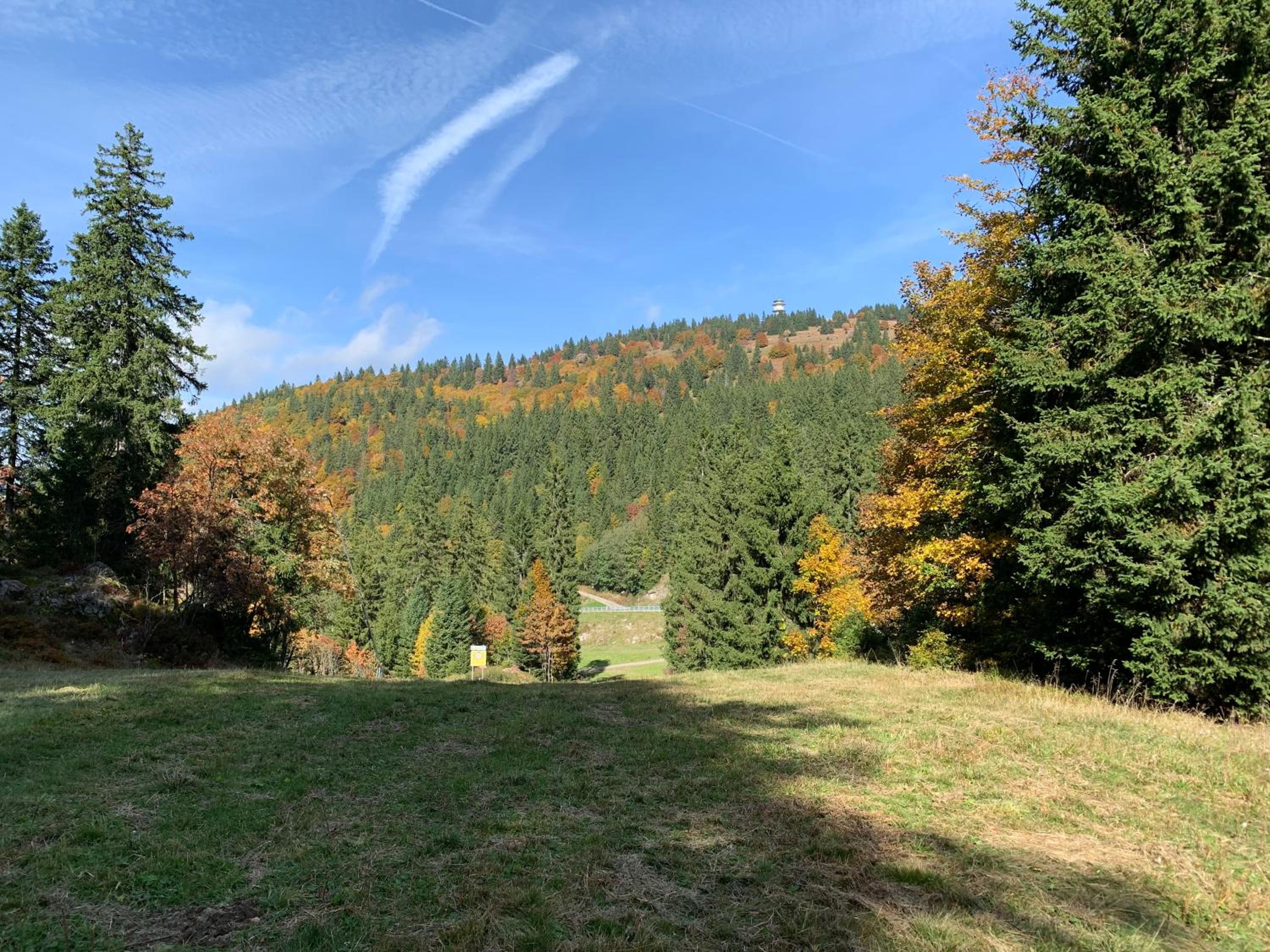 Ferienwohnung Feldberg Schwarzwald