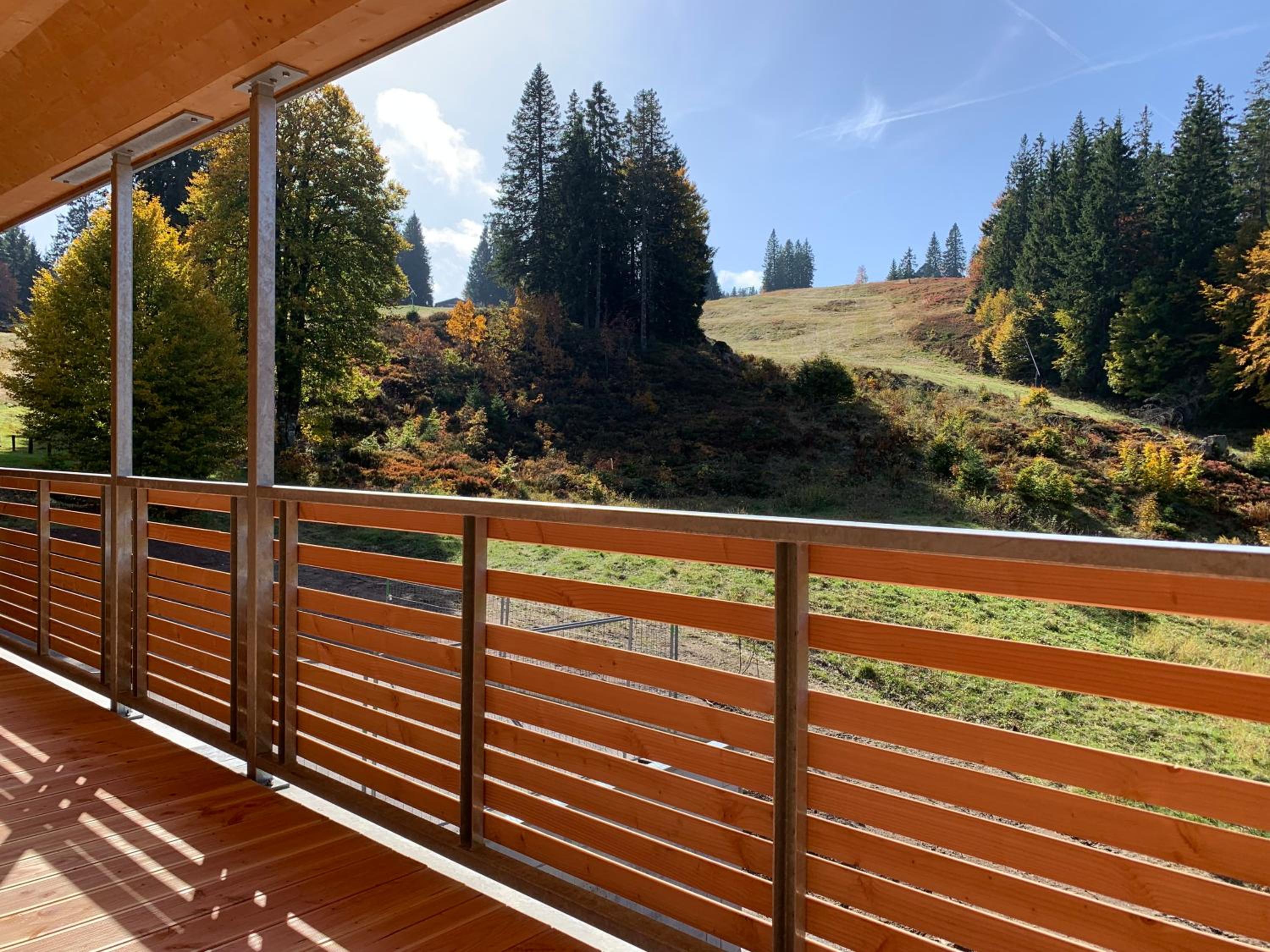 Ferienwohnung Feldberg Schwarzwald