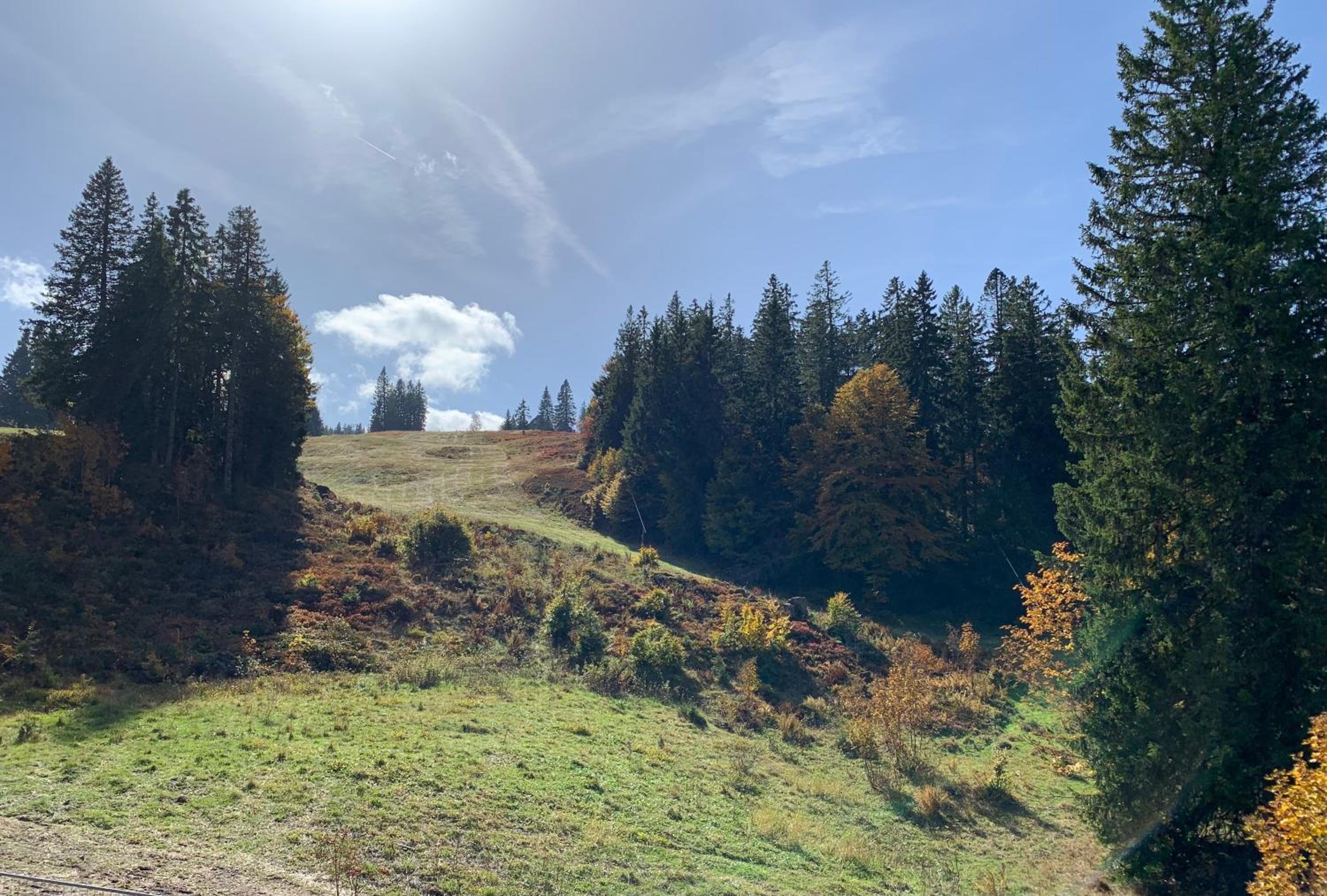 Ferienwohnung Feldberg Schwarzwald