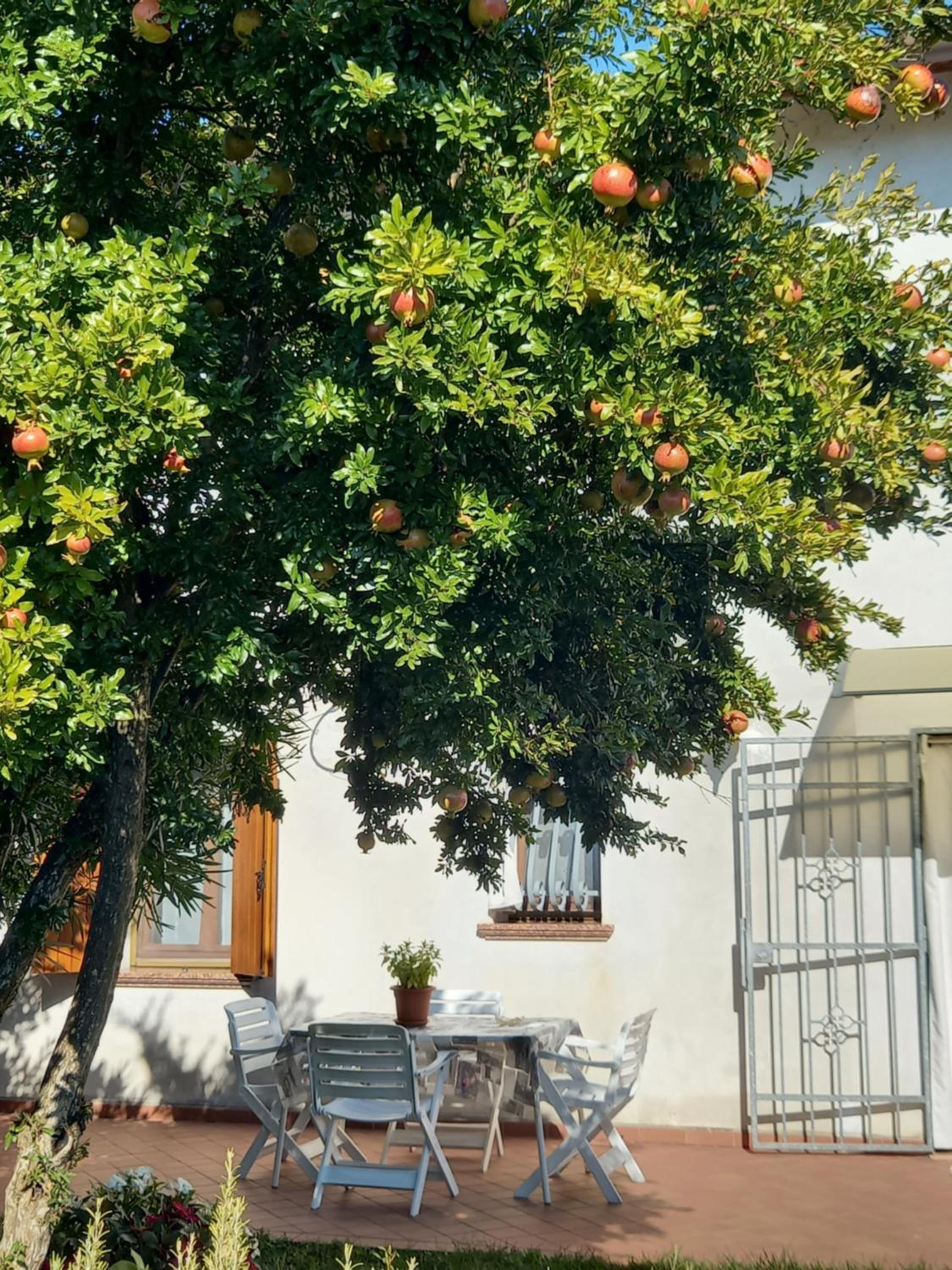 Villa Ma.Ja., photo 12