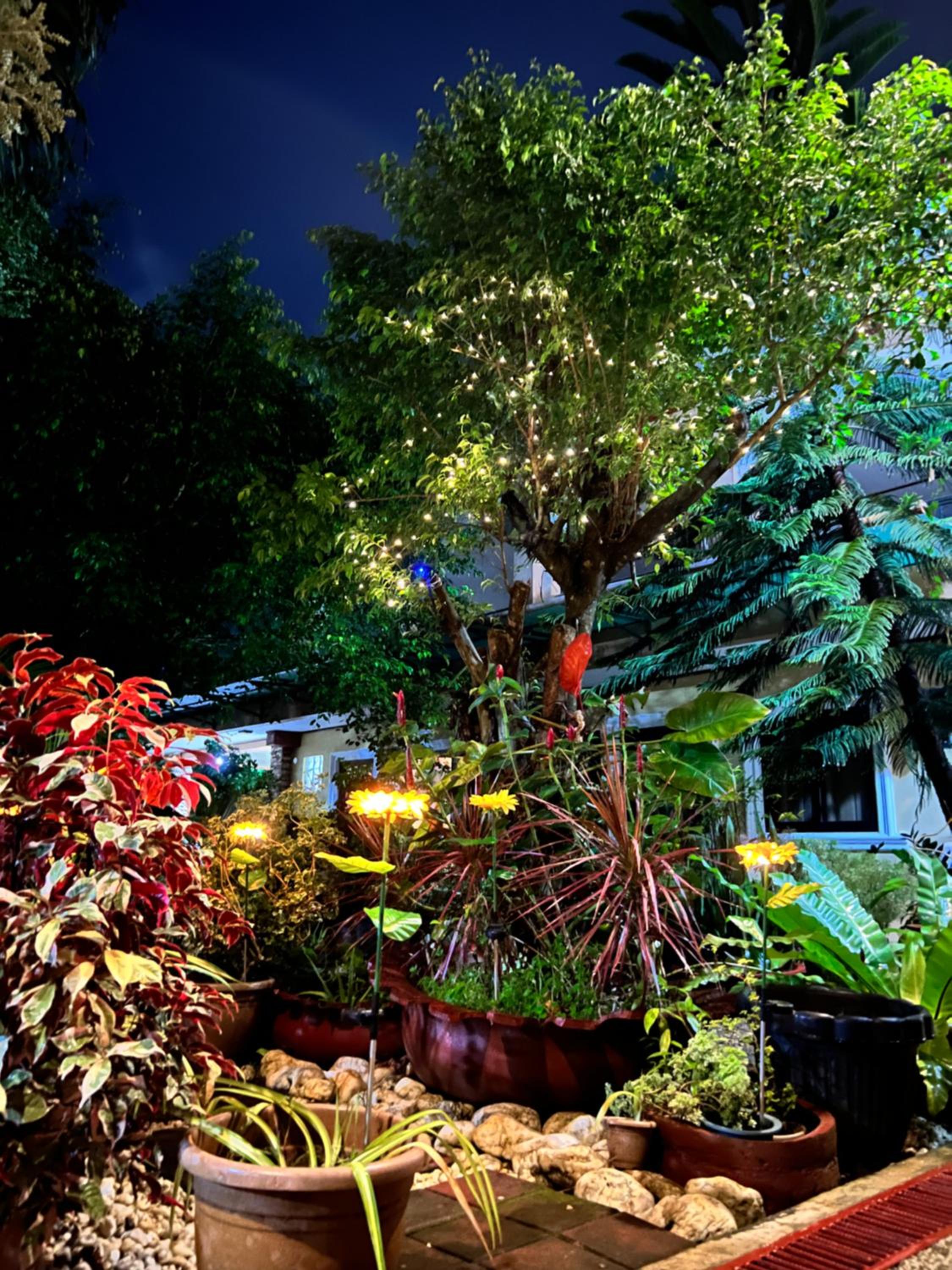 Mariafe Inn