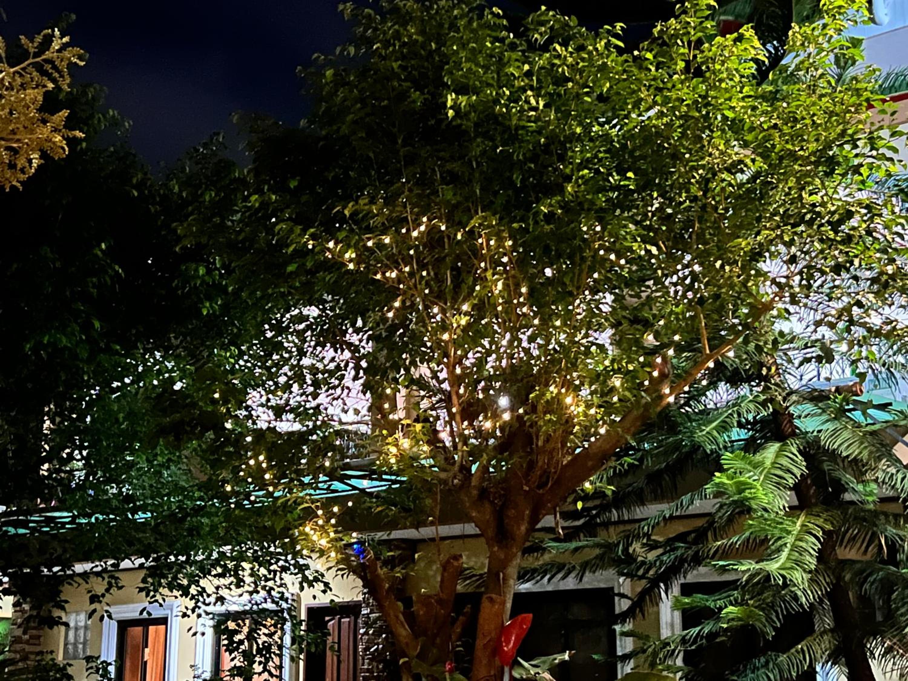 Mariafe Inn