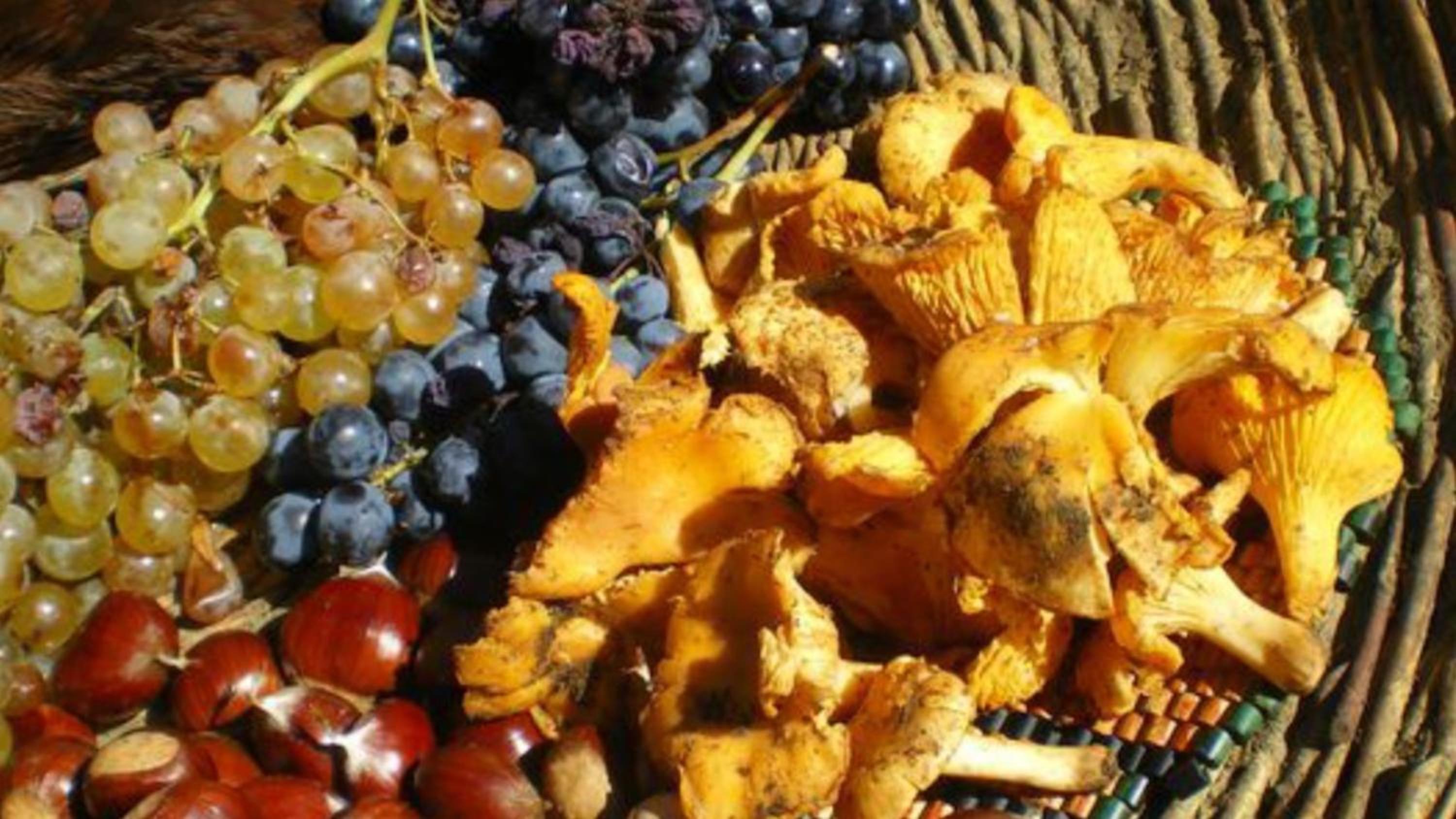 Tuttifrutti holiday
