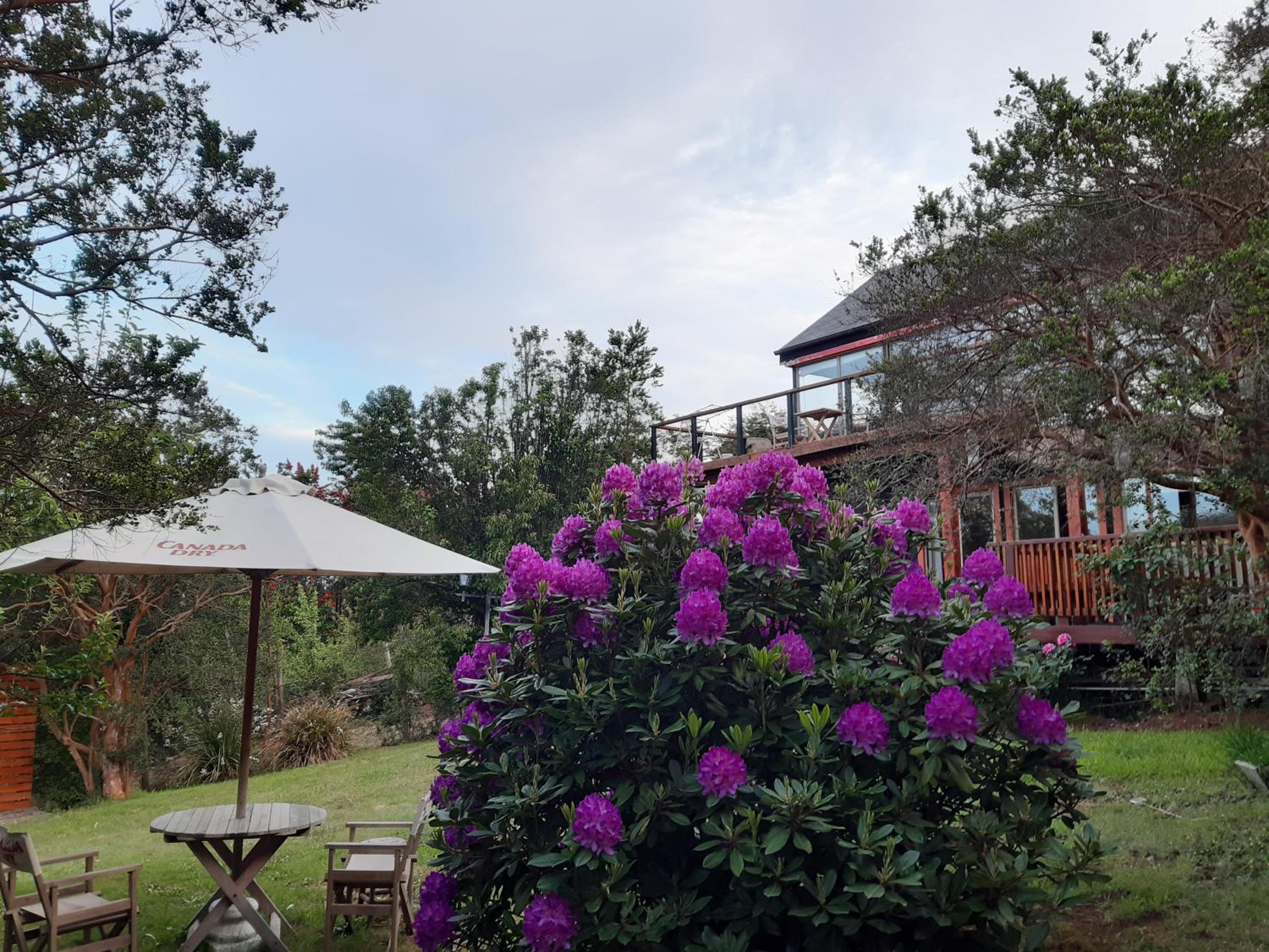 Hostel Torobayo view 2