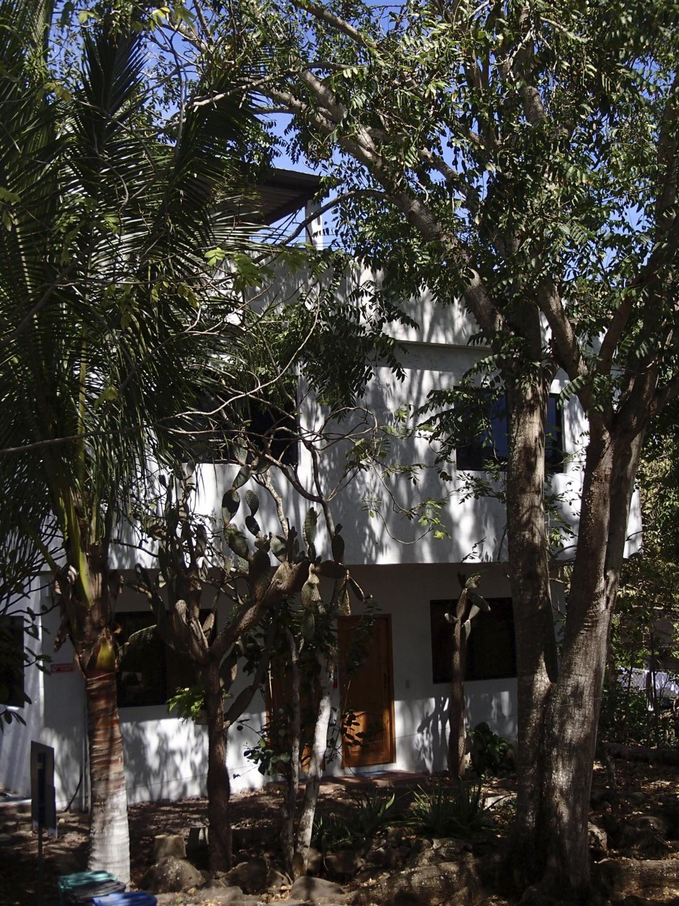 Photo 41