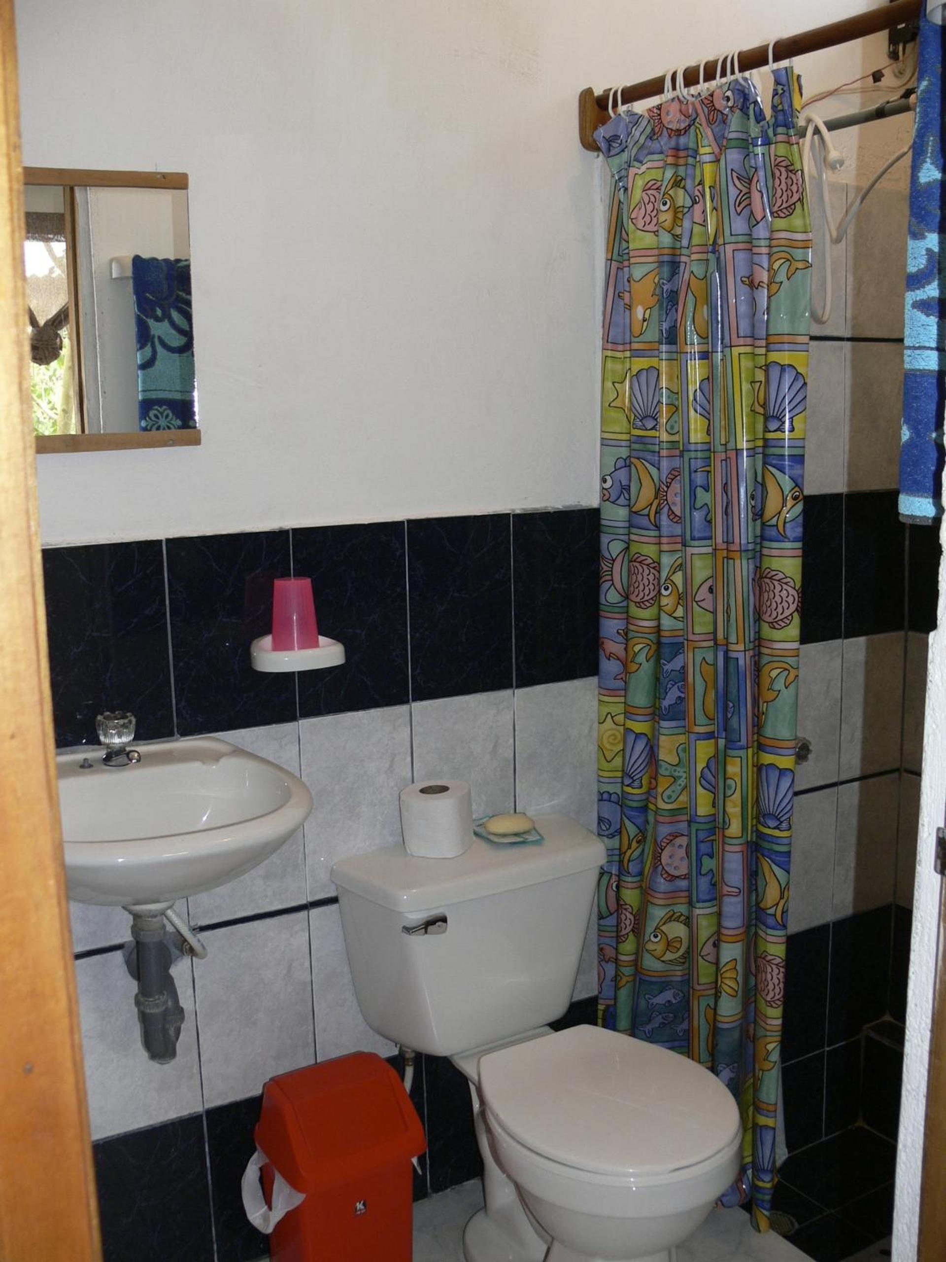 Photo 43