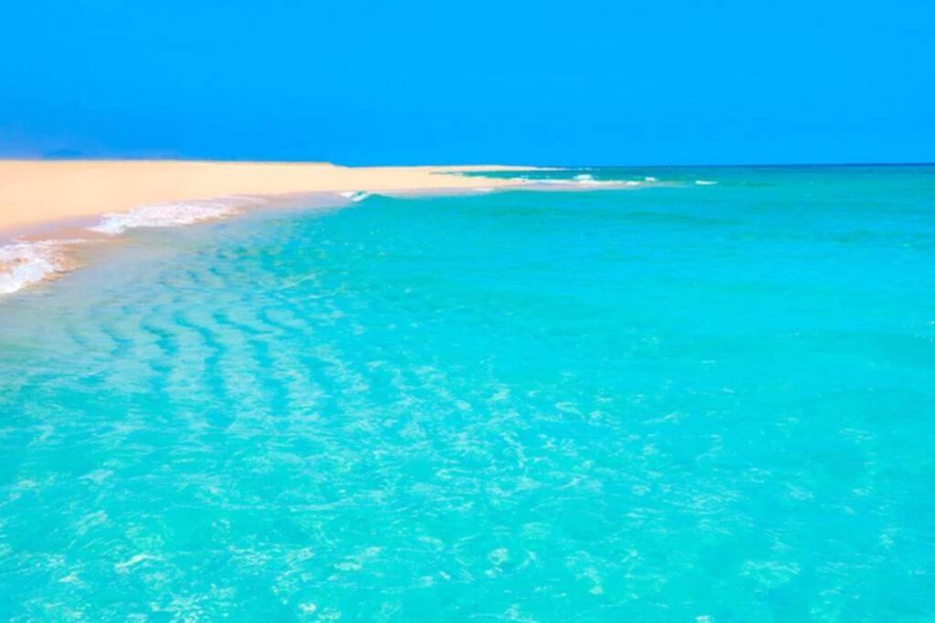 Tropical Paradise