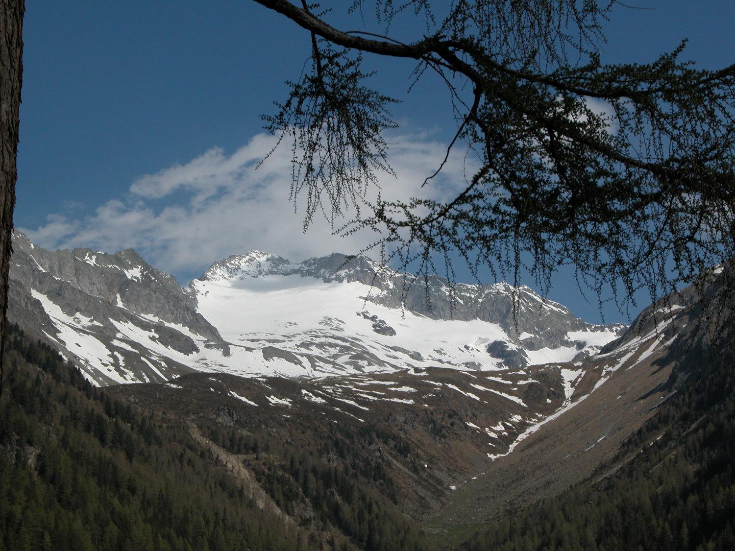 Photo 36