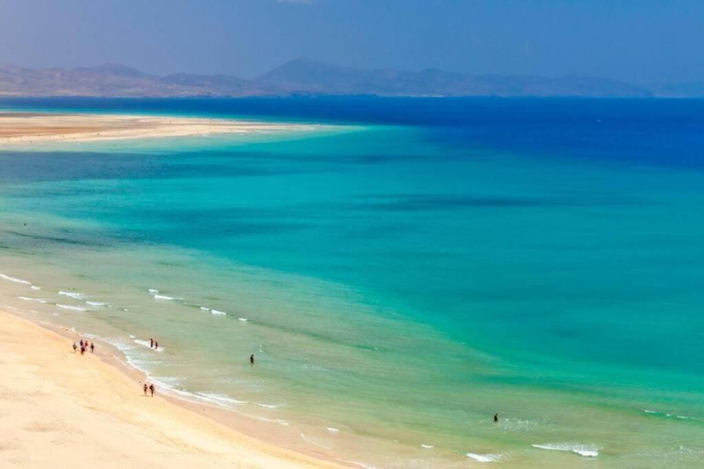 Tropical Paradise