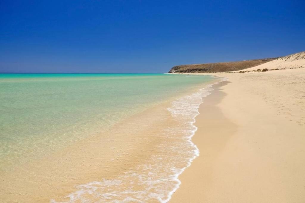 Tropical Paradise