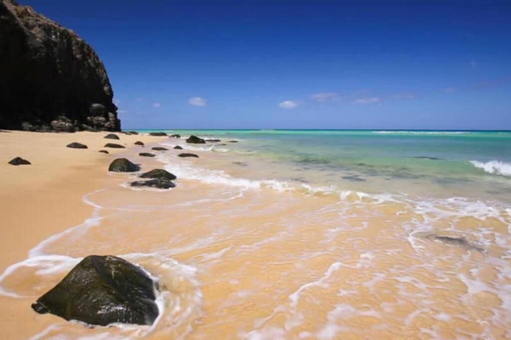 Tropical Paradise