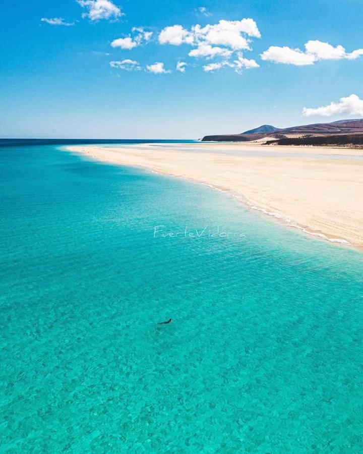 Tropical Paradise