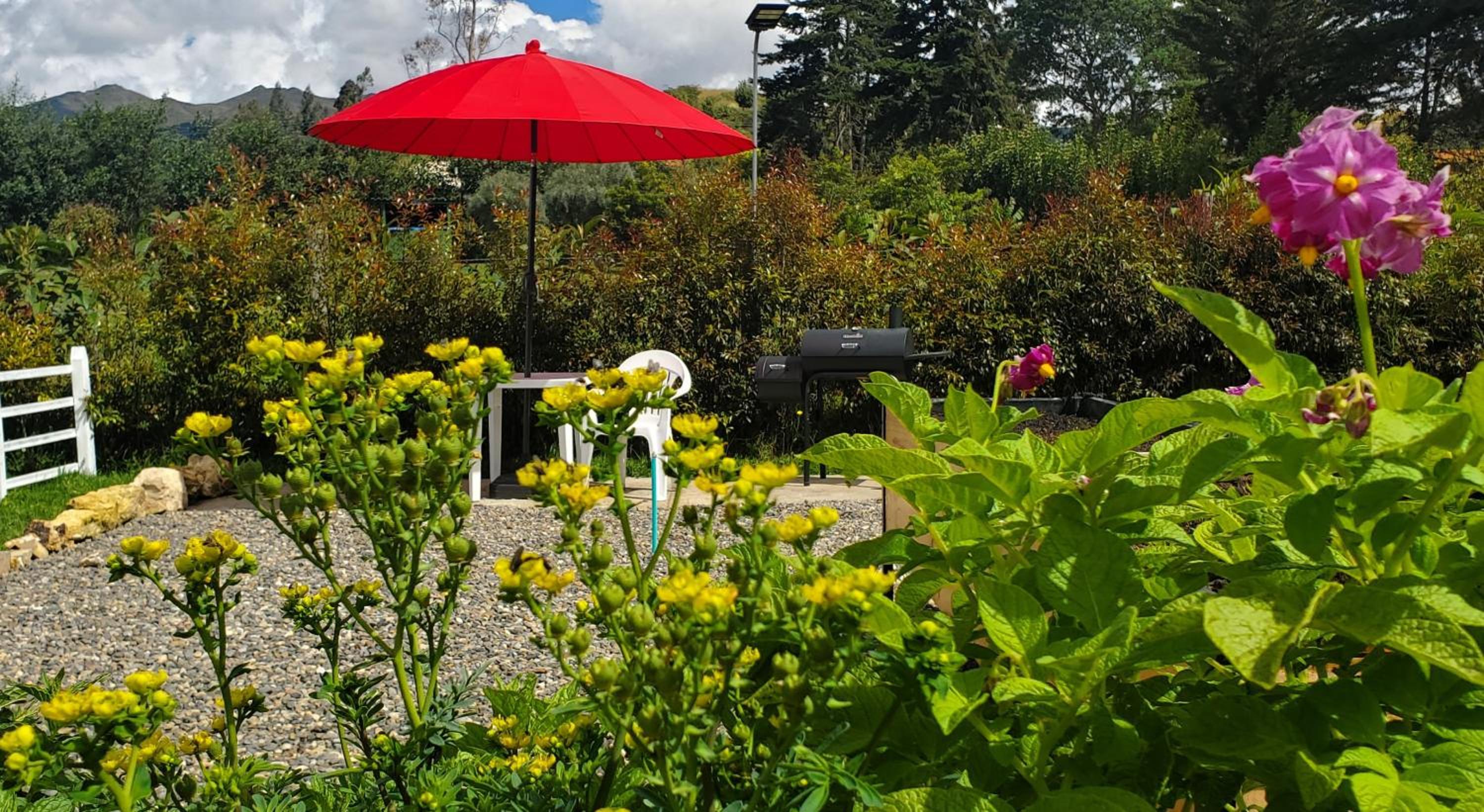 Glamping de la montana