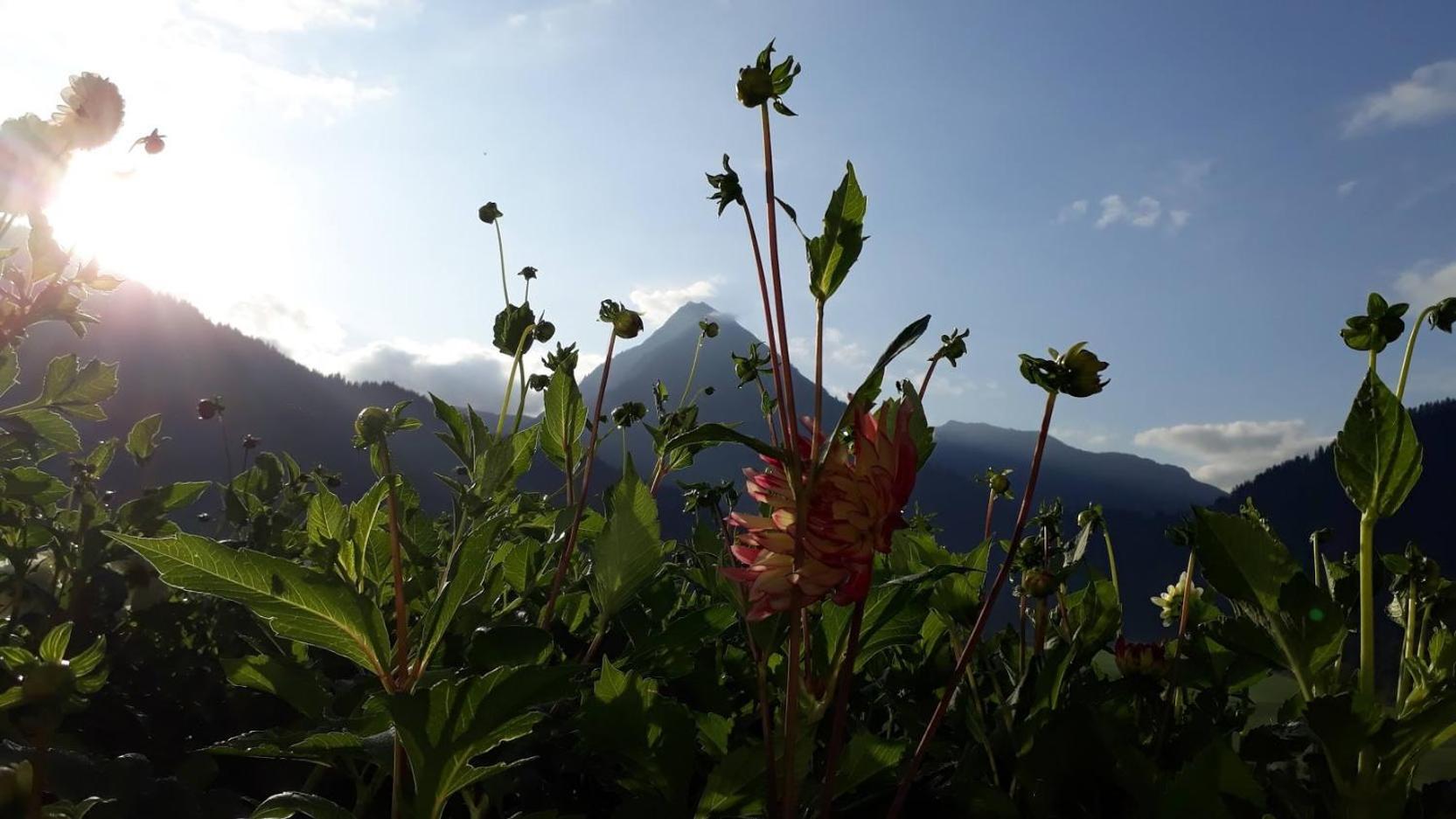 Fernblick Frühstückspension