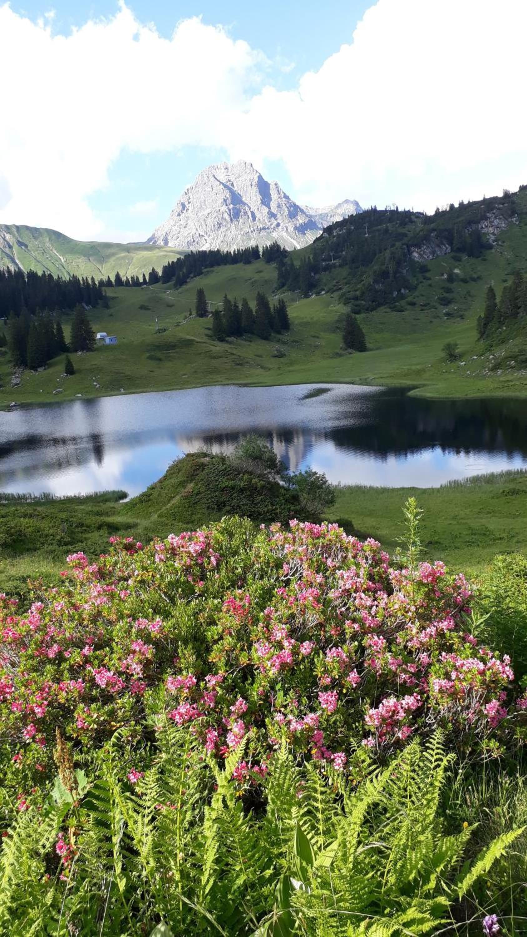 Fernblick Frühstückspension