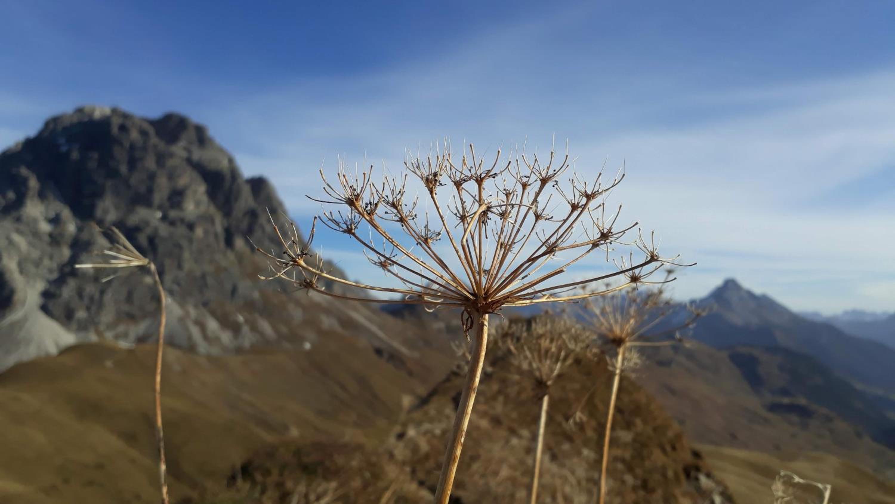 Fernblick Frühstückspension