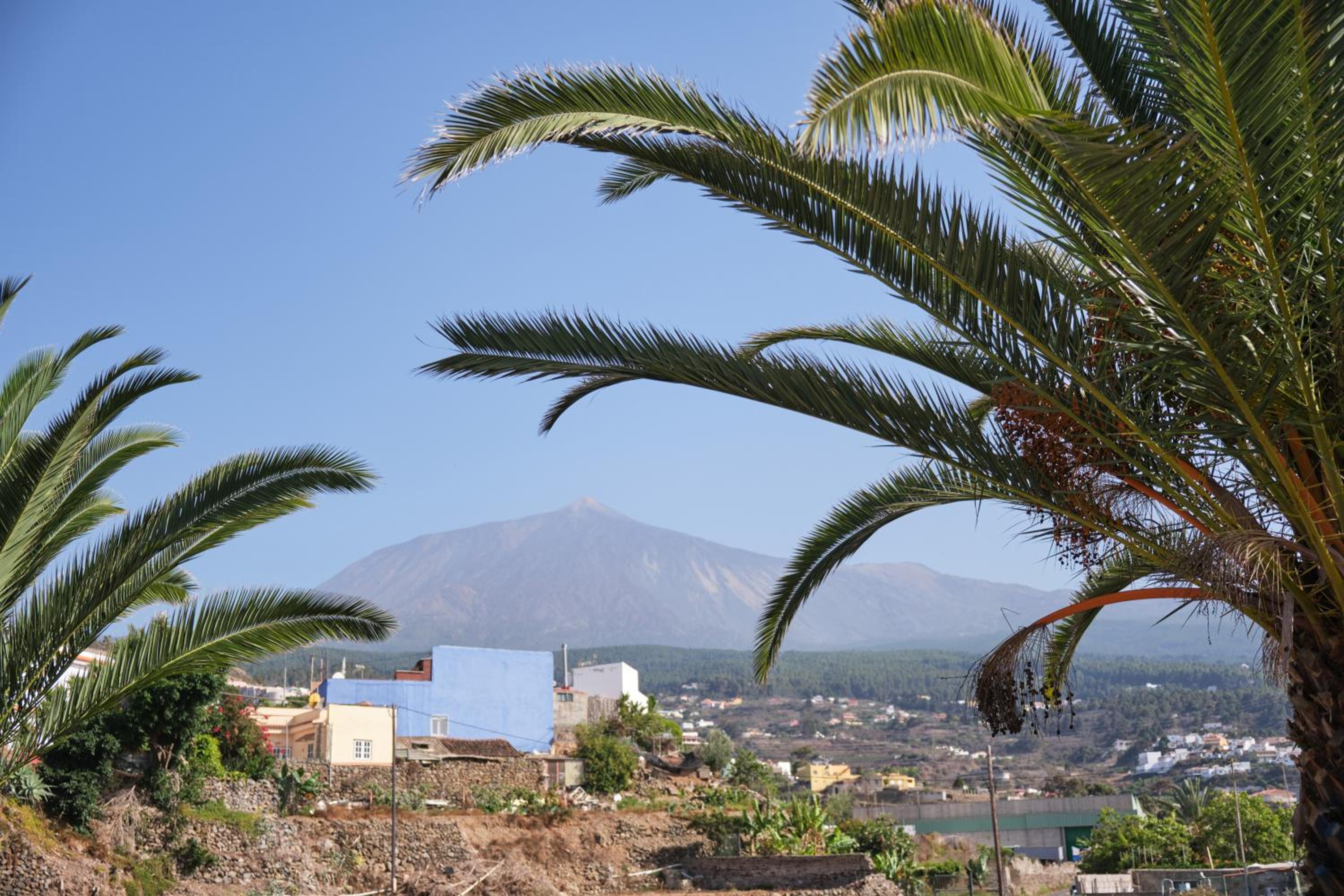 Casa La Casita