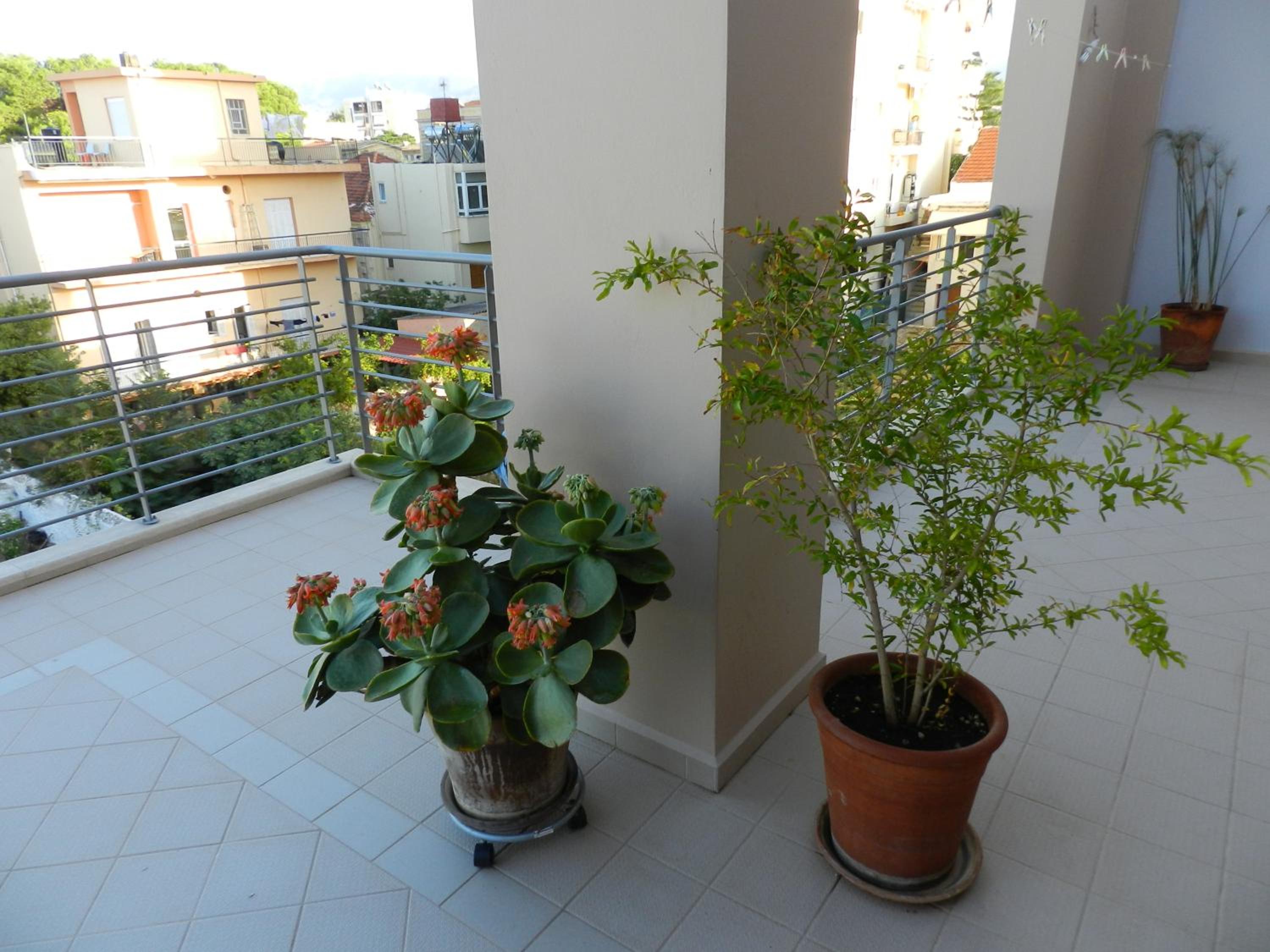 Photo 33