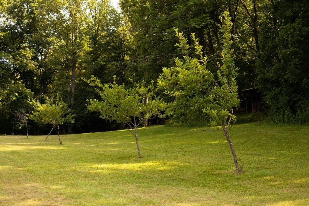 River Runs Through It -Cottage on 70 Acre Winery view 4