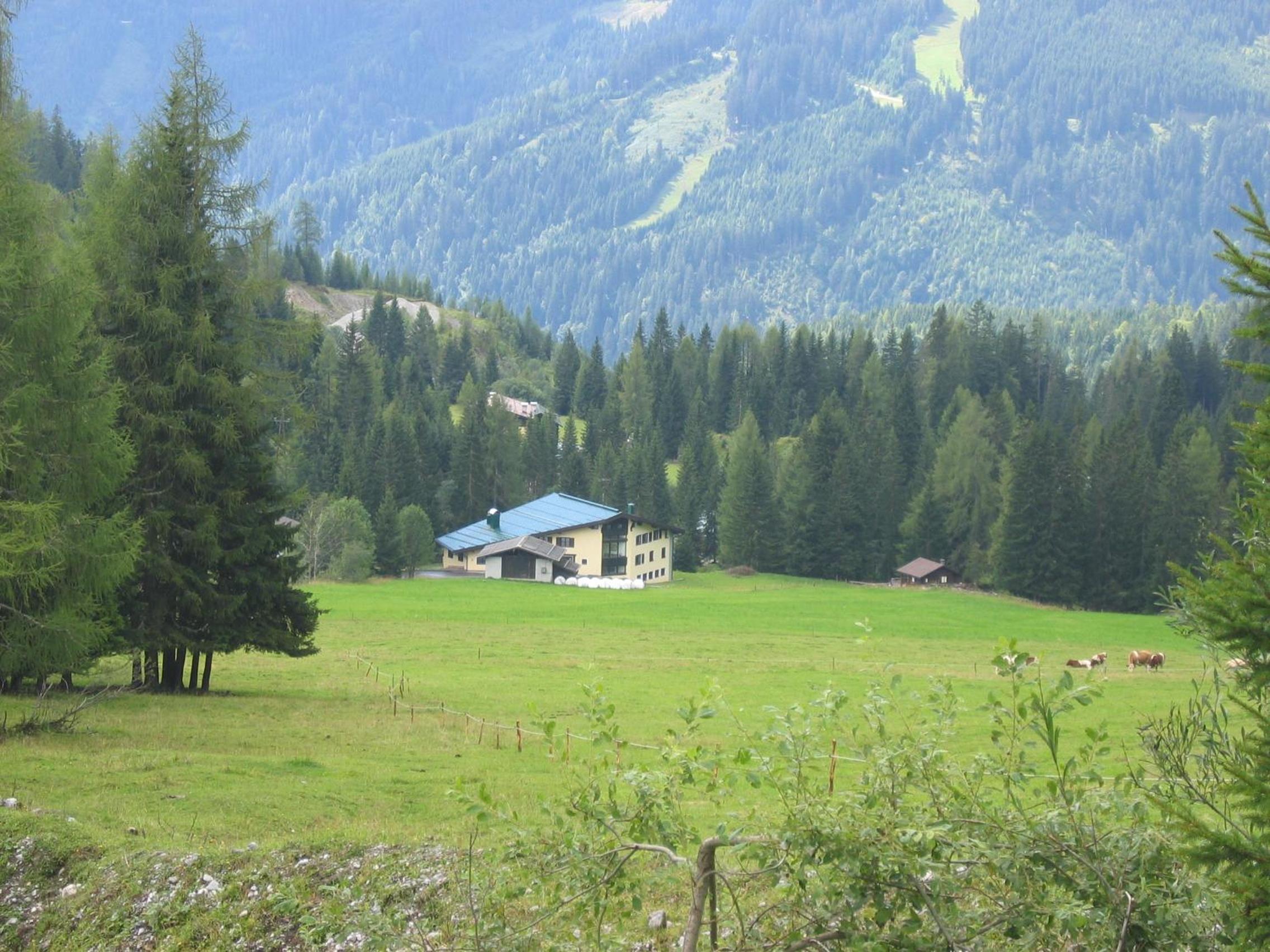Appartementhaus Hochkönig 1 - Alpenrose