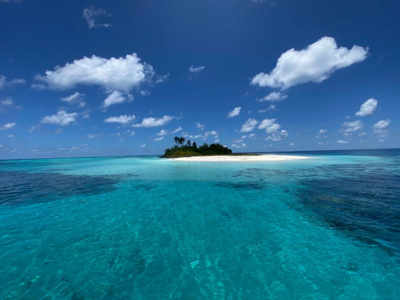 White Coral Rasdhoo