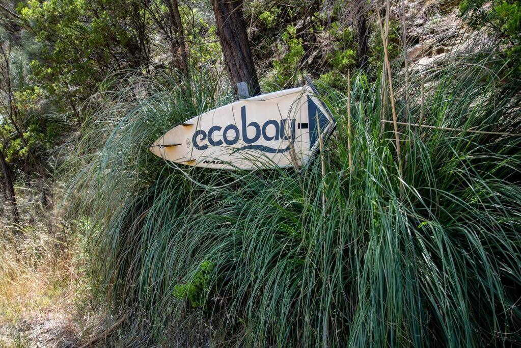 Pixies at Eco Bay