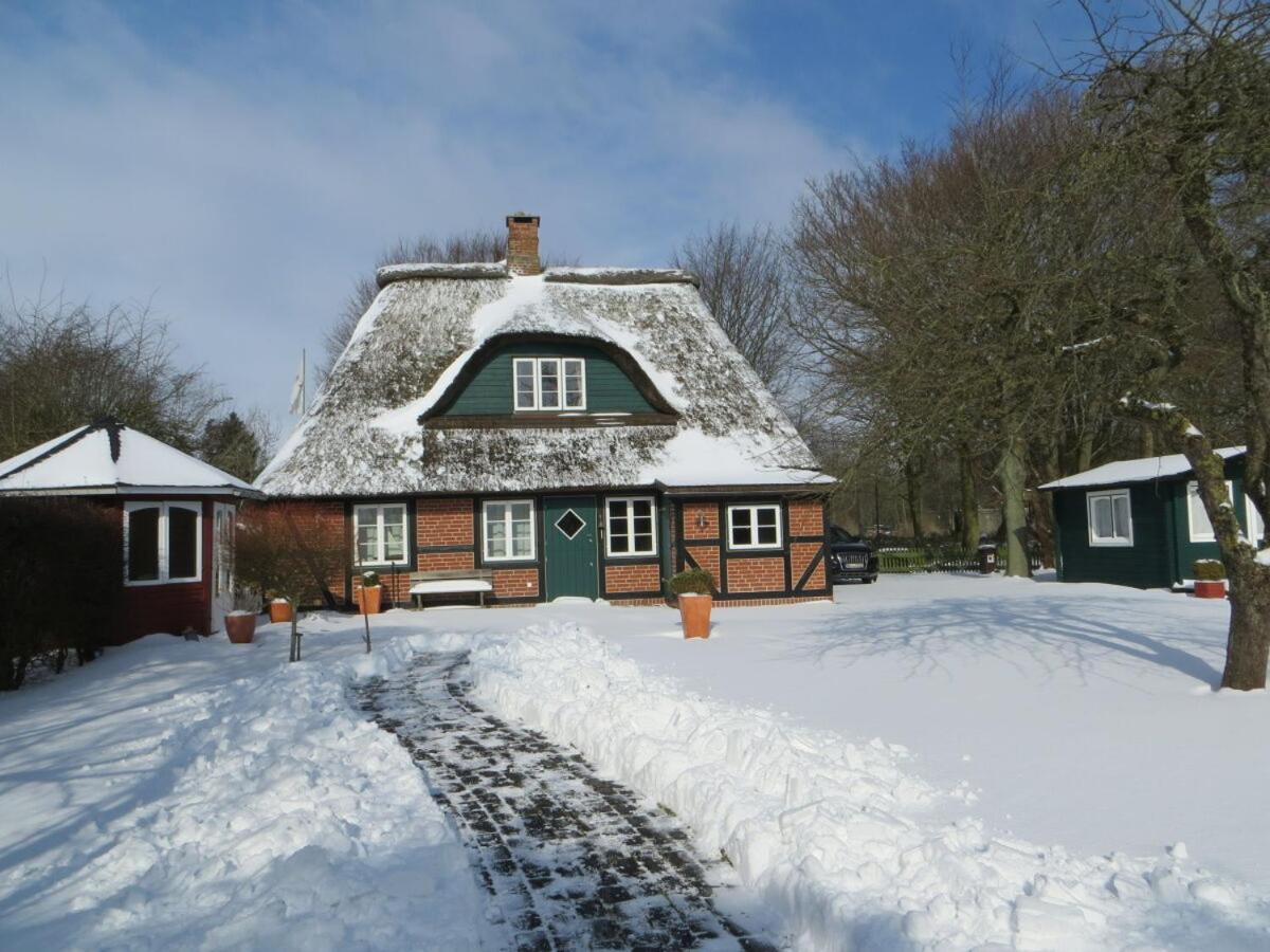 Ferienhaus Frieda - Urlaubsparadies unter Reet