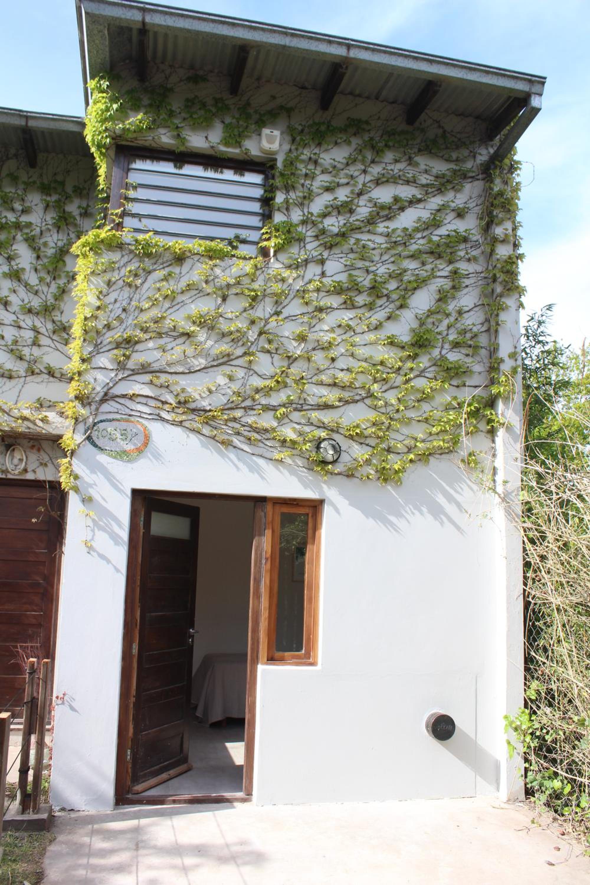 casita moderna frente al bosque