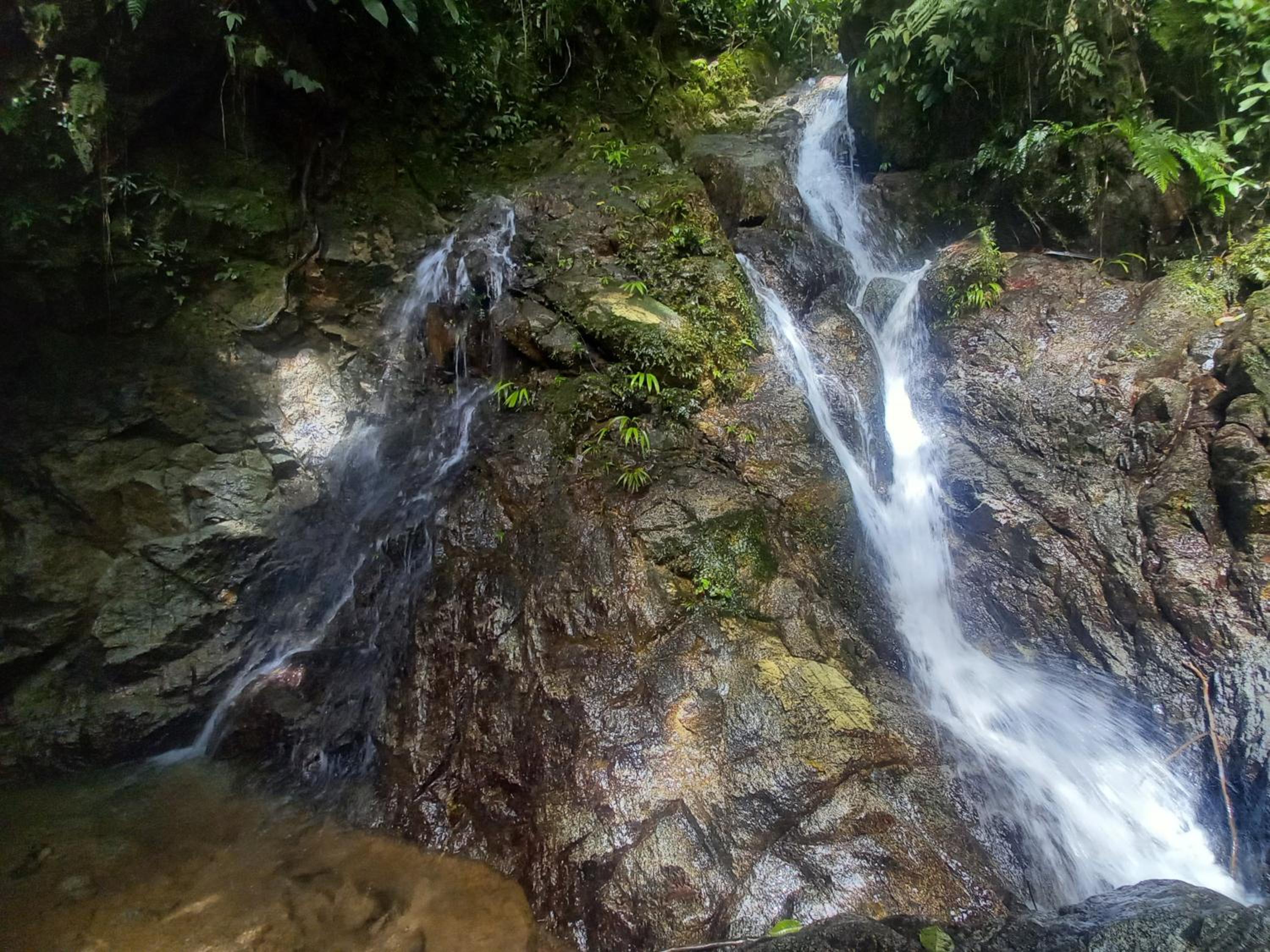 Photo 52