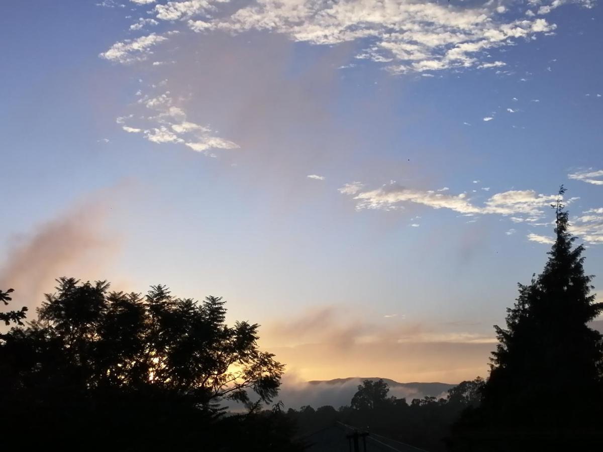 Montevideo Boutique Homestay view 4
