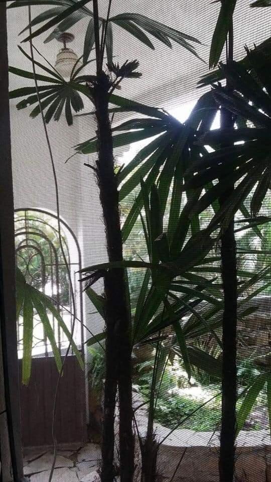 Hotel Raíz de Sierra - Image 1