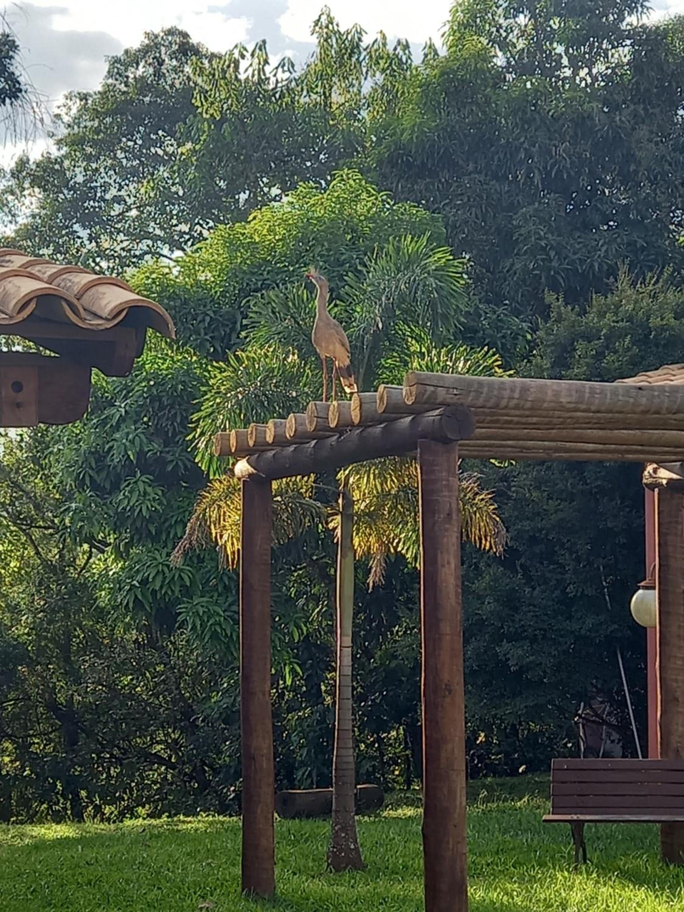 Pousada Recanto do Sossego- Serra da Canastra
