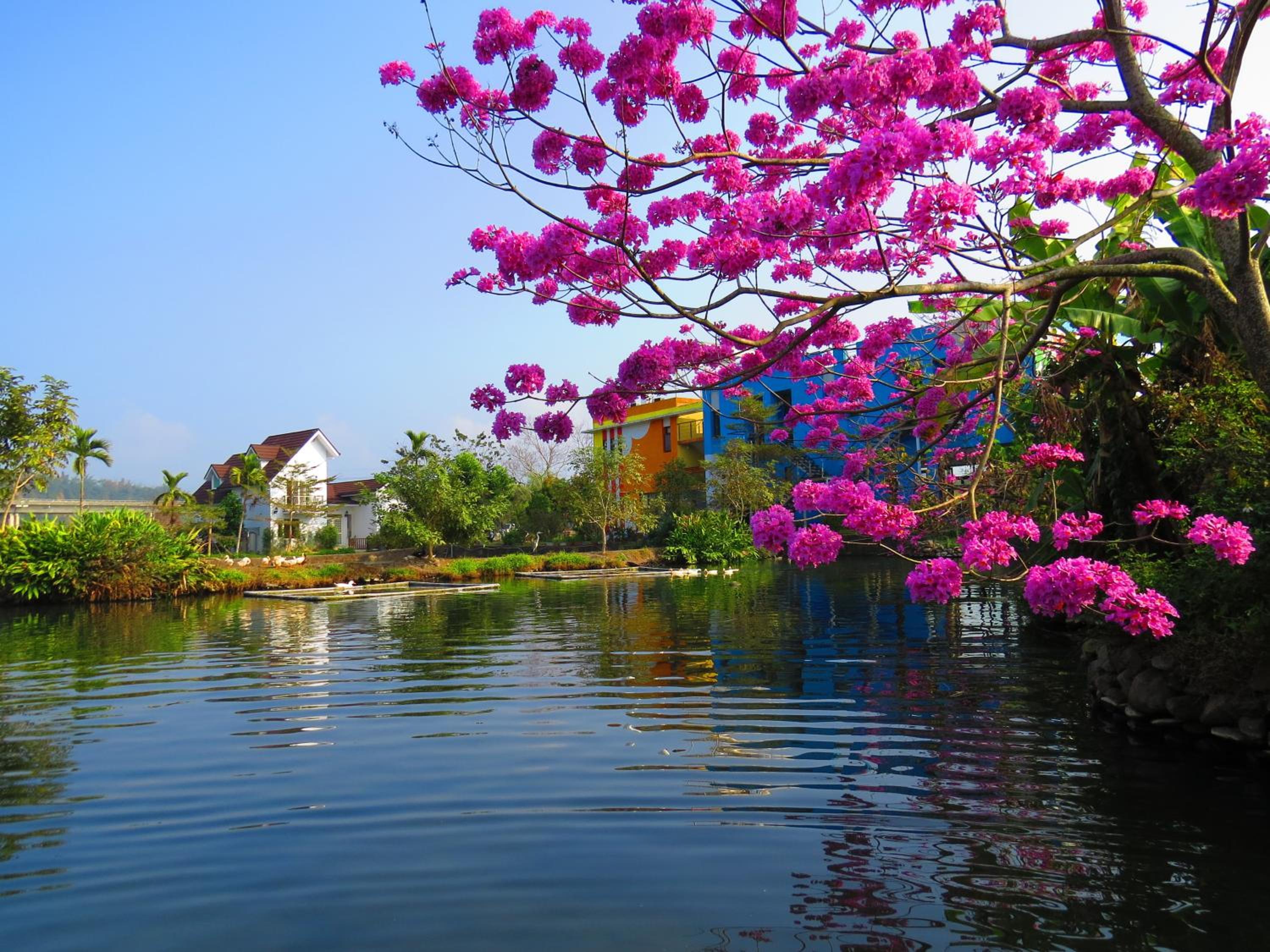 Beauty Spring N Harvest Guest House