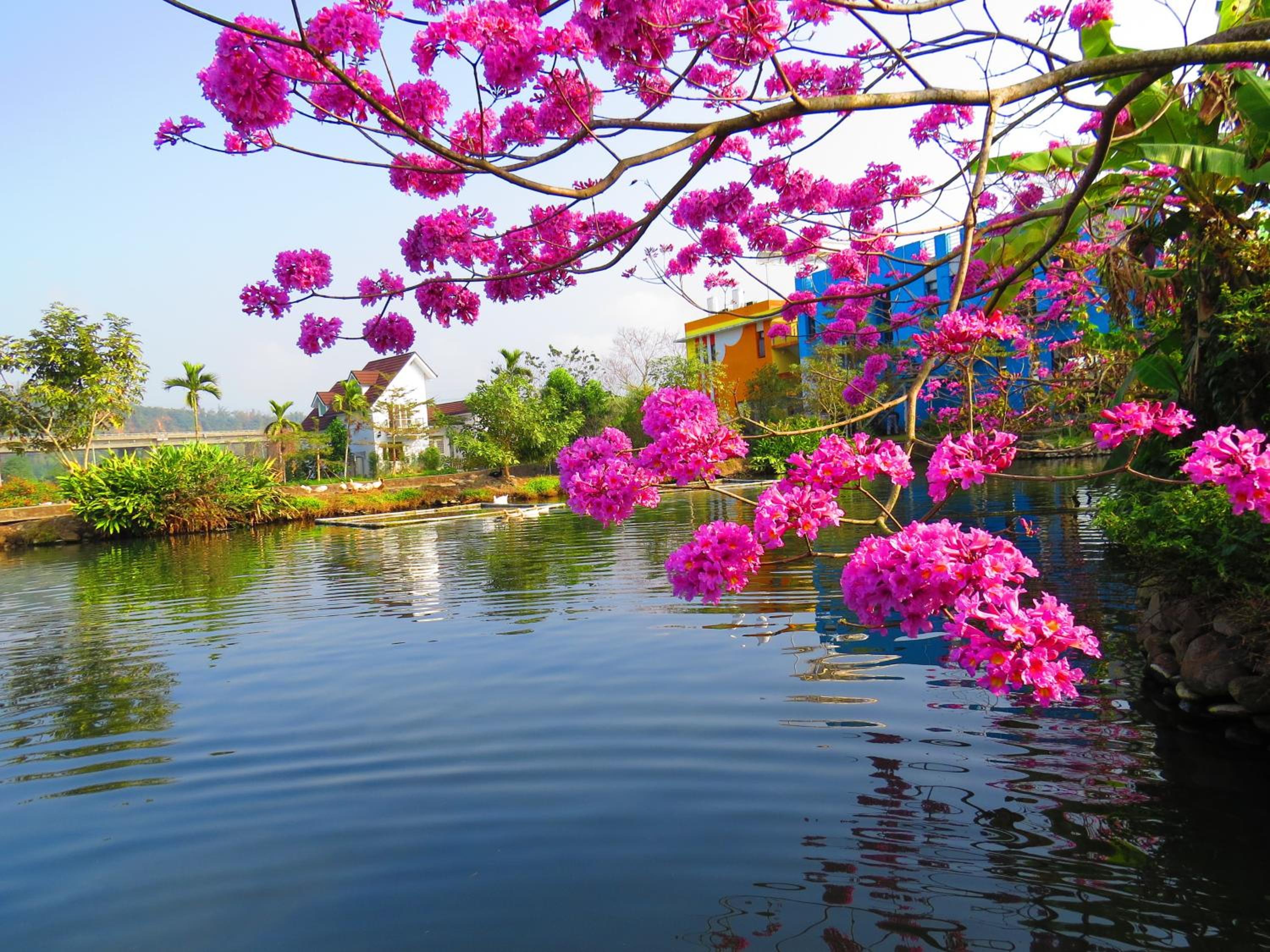 Beauty Spring N Harvest Guest House
