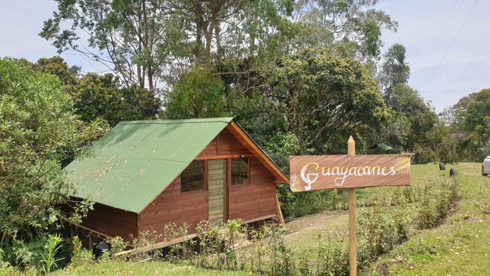 Glamping rionegro Guayacanes