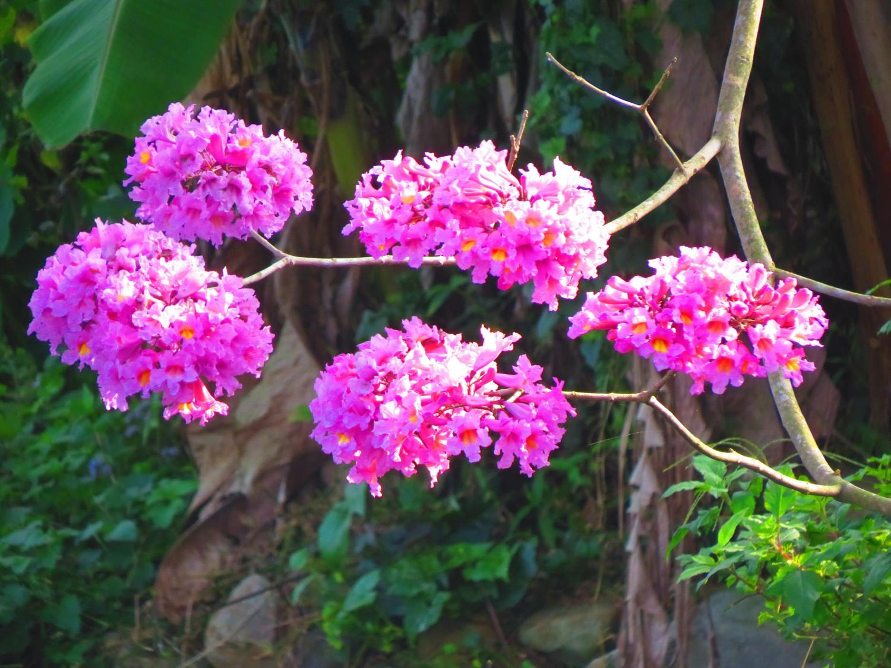 Beauty Spring N Harvest Guest House