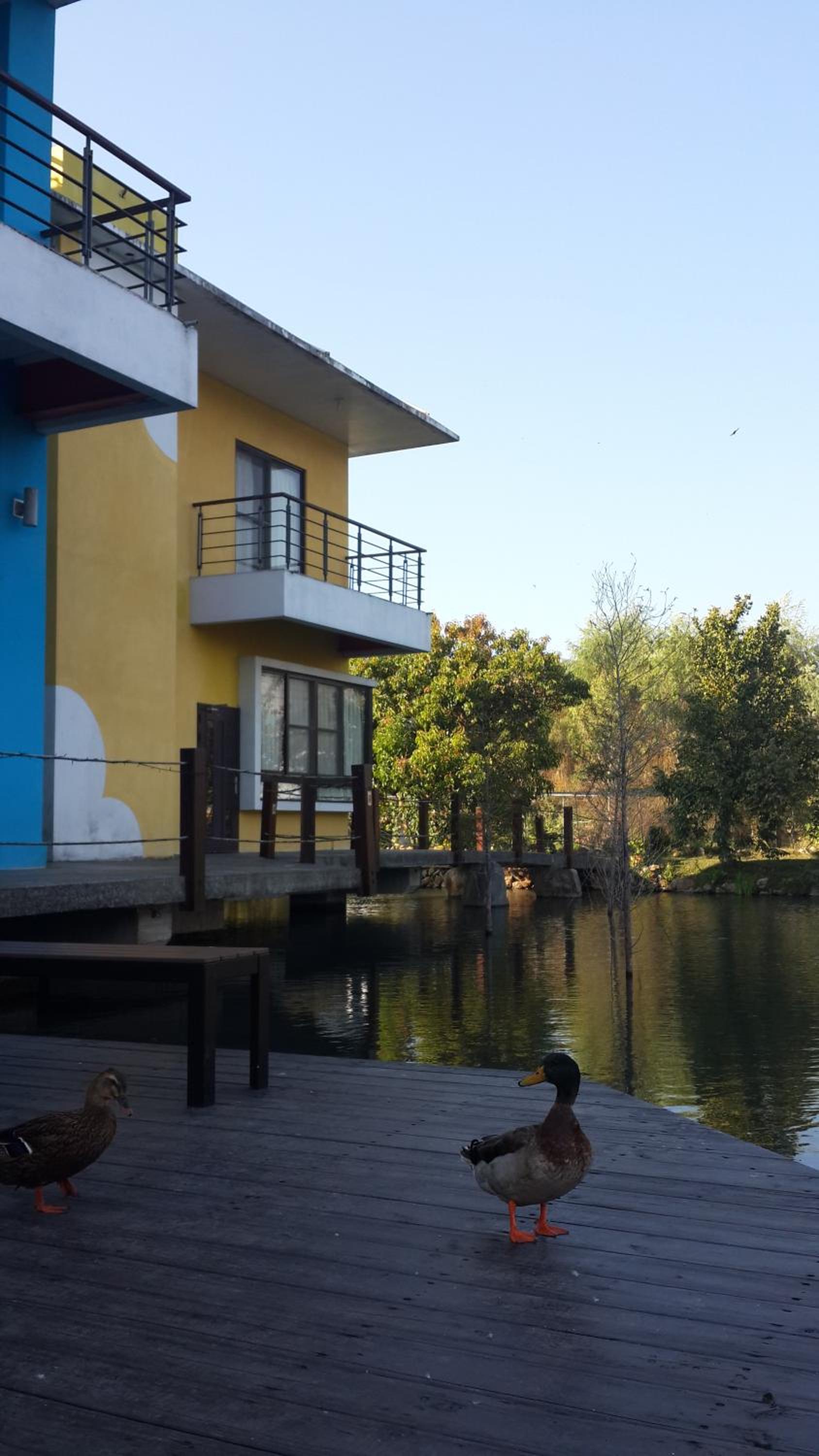 Beauty Spring N Harvest Guest House