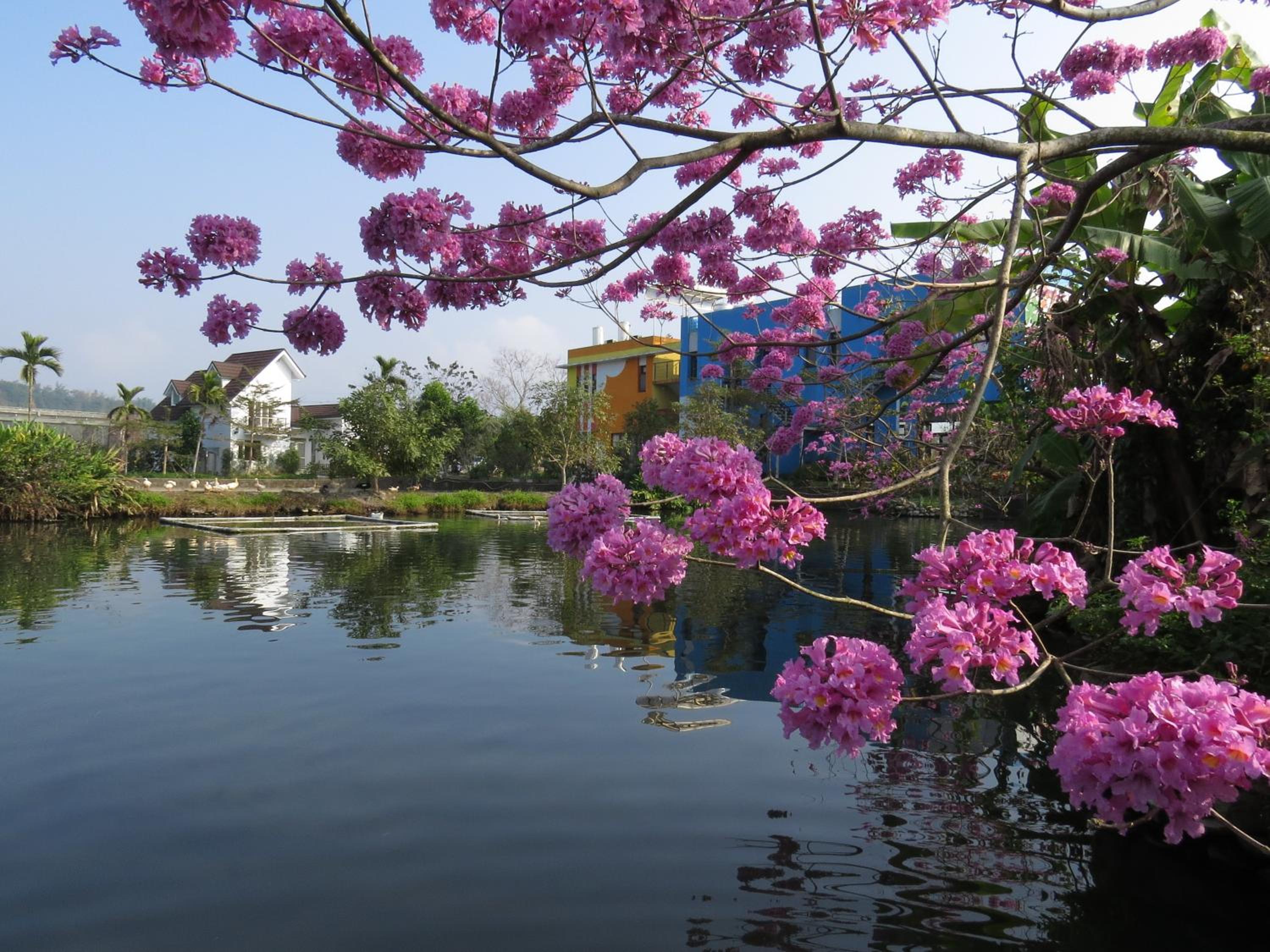 Beauty Spring N Harvest Guest House
