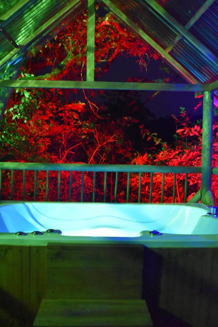 Glamping rionegro Guayacanes