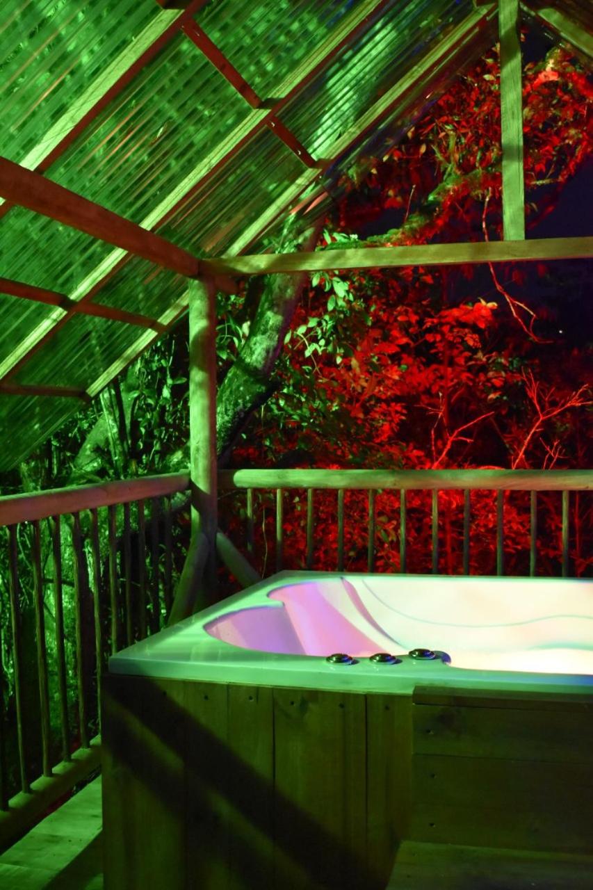 Glamping rionegro Guayacanes