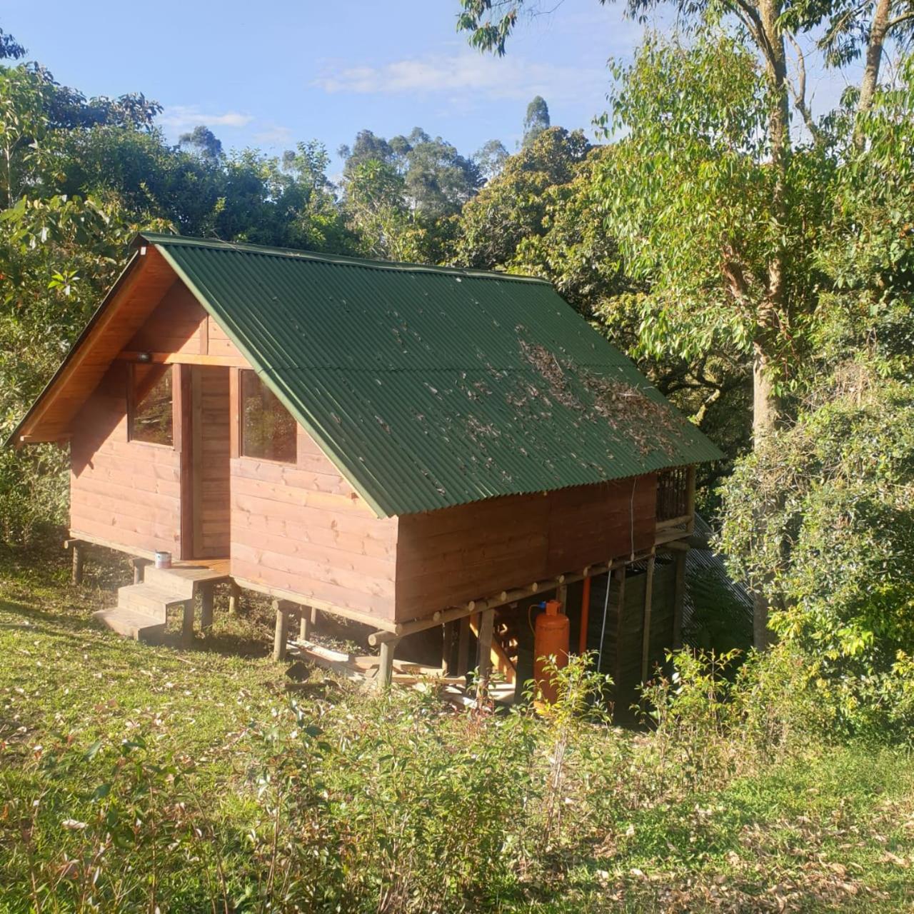 Glamping rionegro Guayacanes