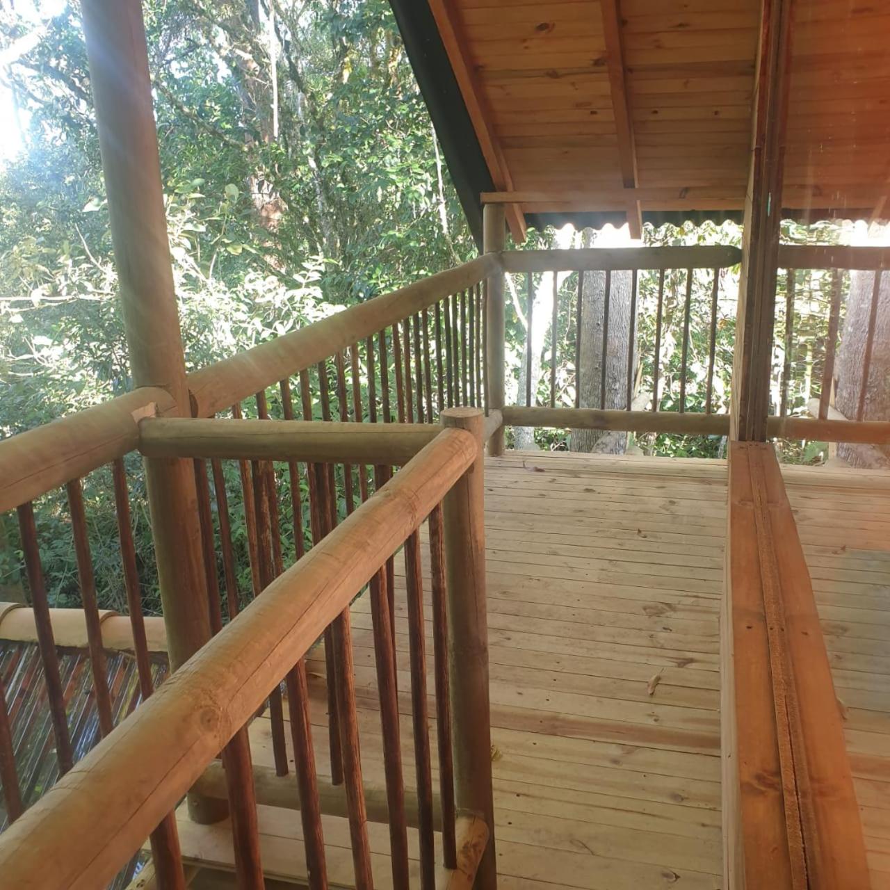 Glamping rionegro Guayacanes