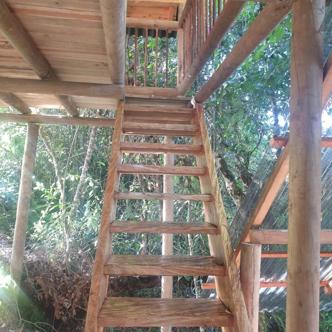 Glamping rionegro Guayacanes