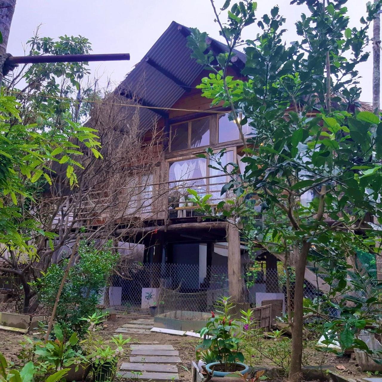Hoi An Mercy homestay view 2